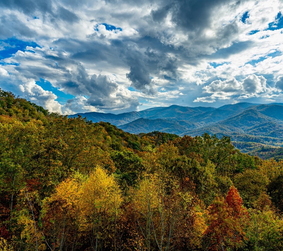 Обои небо, облака, деревья, горы, лес, осень, the sky, clouds, trees, mountains, forest, autumn разрешение 4050x2700 Загрузить