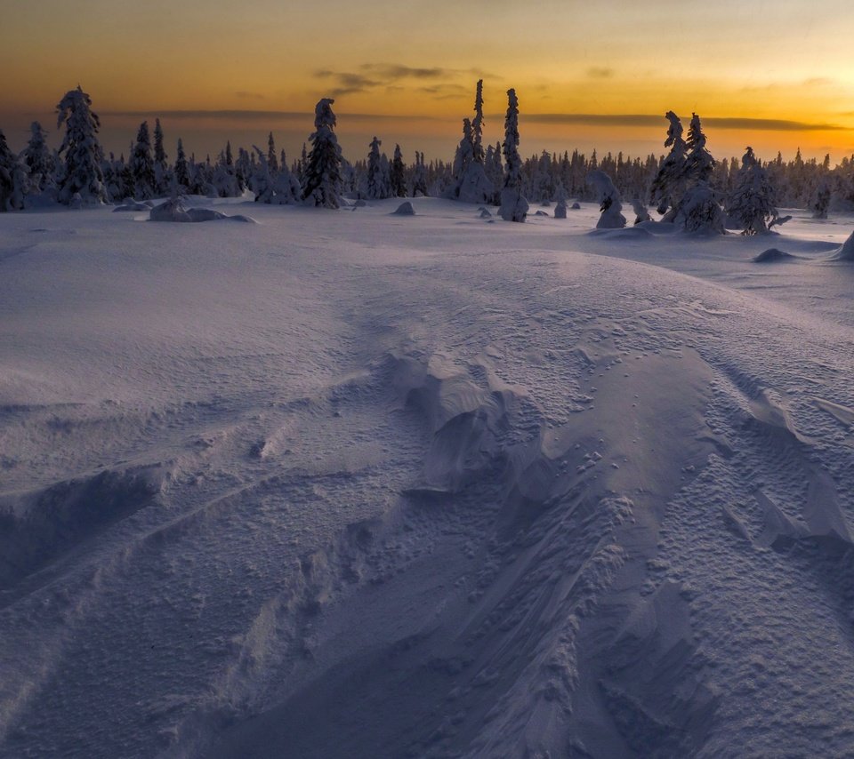 Обои ночь, снег, зима, поле, night, snow, winter, field разрешение 3840x2160 Загрузить