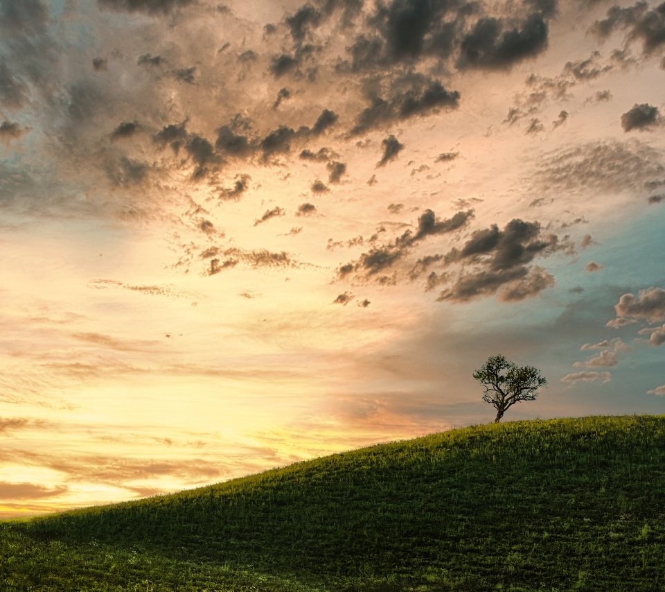 Обои облака, дерево, поле, clouds, tree, field разрешение 2500x1563 Загрузить