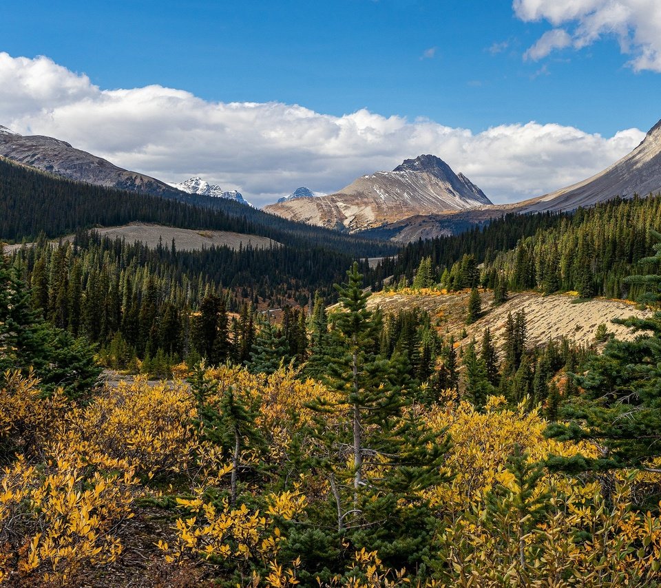 Обои облака, горы, лес, осень, вершины, ели, кустарники, clouds, mountains, forest, autumn, tops, ate, shrubs разрешение 3840x2160 Загрузить