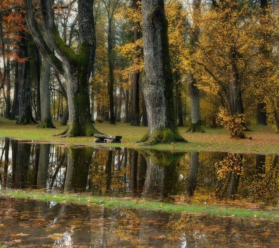 Обои природа, парк, nature, park разрешение 3840x2160 Загрузить