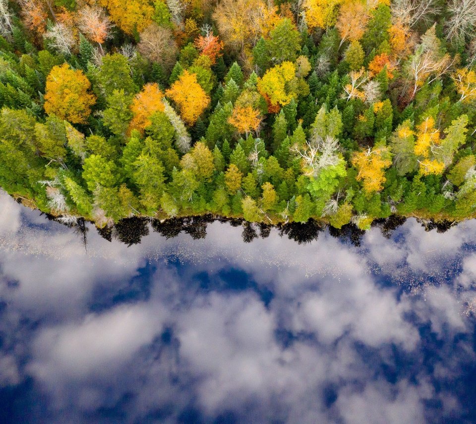 Обои река, лес, отражение, осень, river, forest, reflection, autumn разрешение 3000x1999 Загрузить