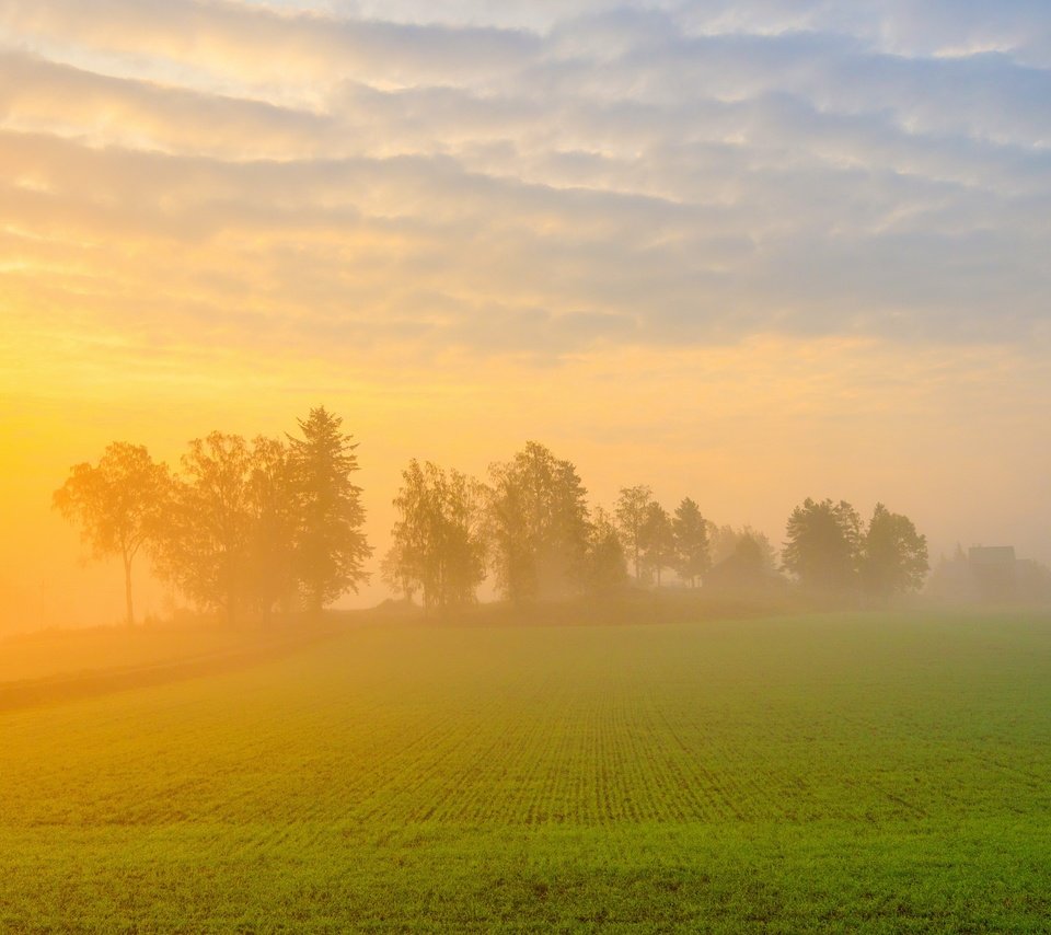 Обои туман, поле, лето, fog, field, summer разрешение 3840x2160 Загрузить