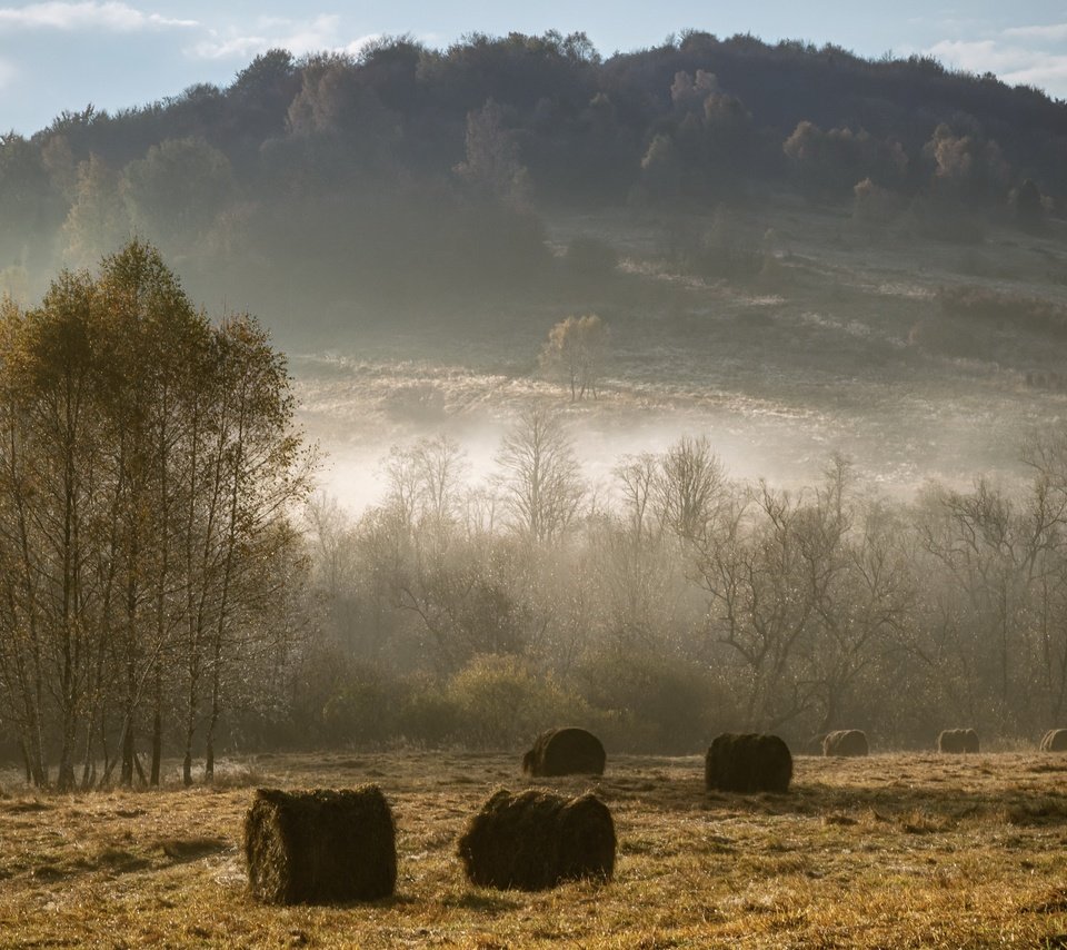 Обои туман, поле, сено, осень, fog, field, hay, autumn разрешение 3840x2160 Загрузить