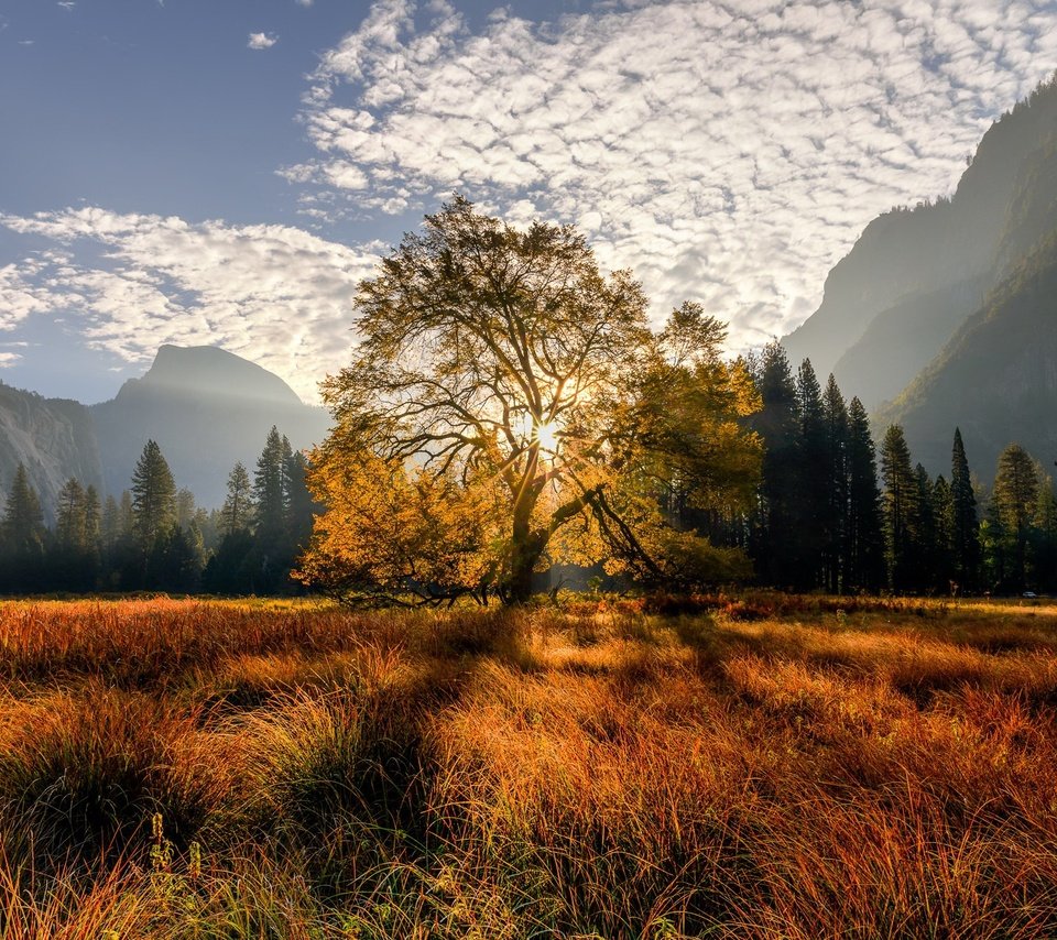 Обои деревья, горы, trees, mountains разрешение 2048x1365 Загрузить