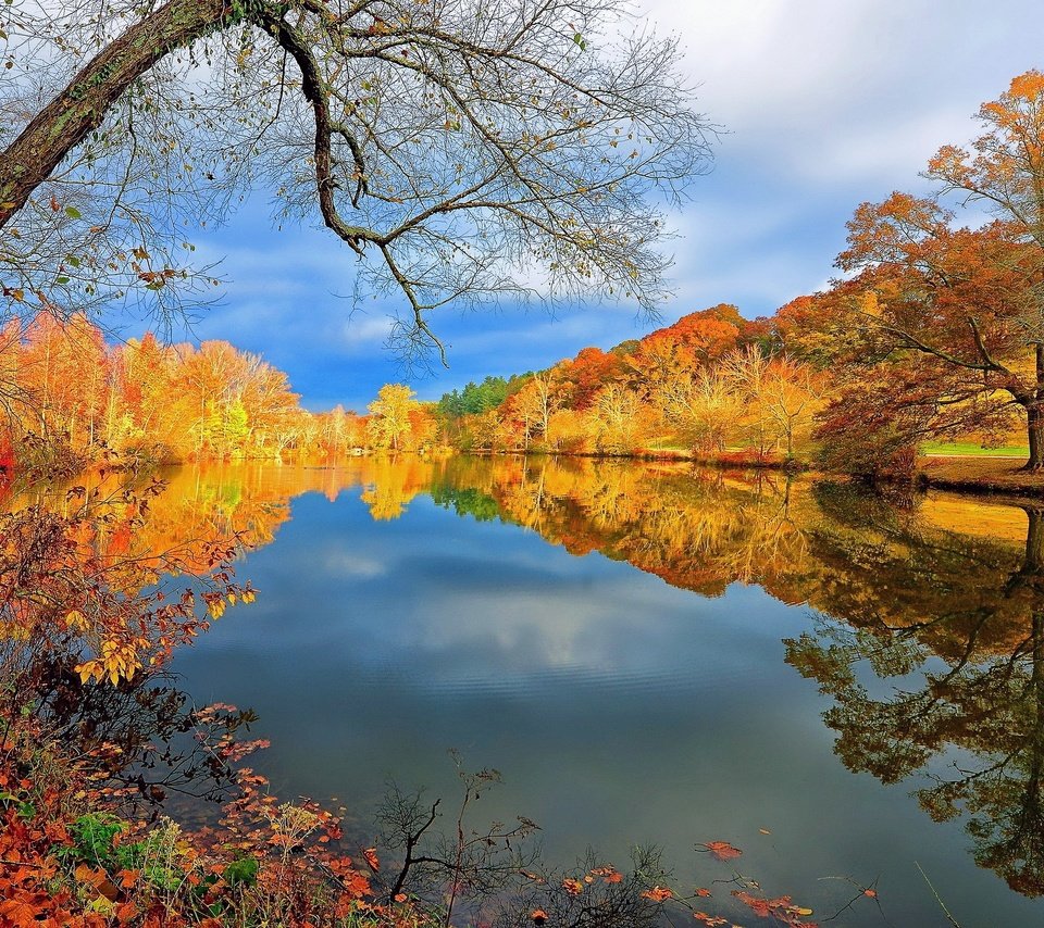 Обои деревья, осень, trees, autumn разрешение 3840x2160 Загрузить