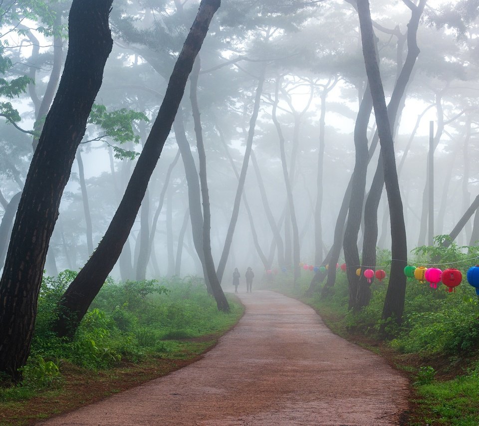 Обои деревья, парк, туман, дорожка, люди, фонарики, trees, park, fog, track, people, lanterns разрешение 2000x1169 Загрузить