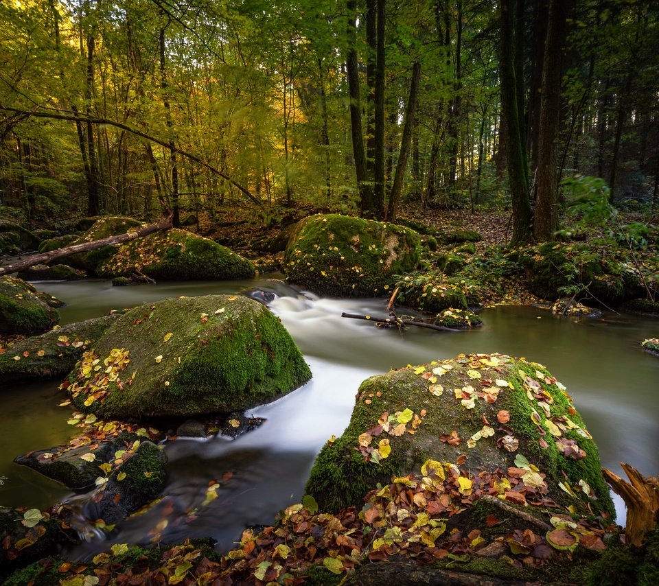 Обои деревья, мох, река, природа, камни, лес, листья, пейзаж, осень, trees, moss, river, nature, stones, forest, leaves, landscape, autumn разрешение 3360x2231 Загрузить