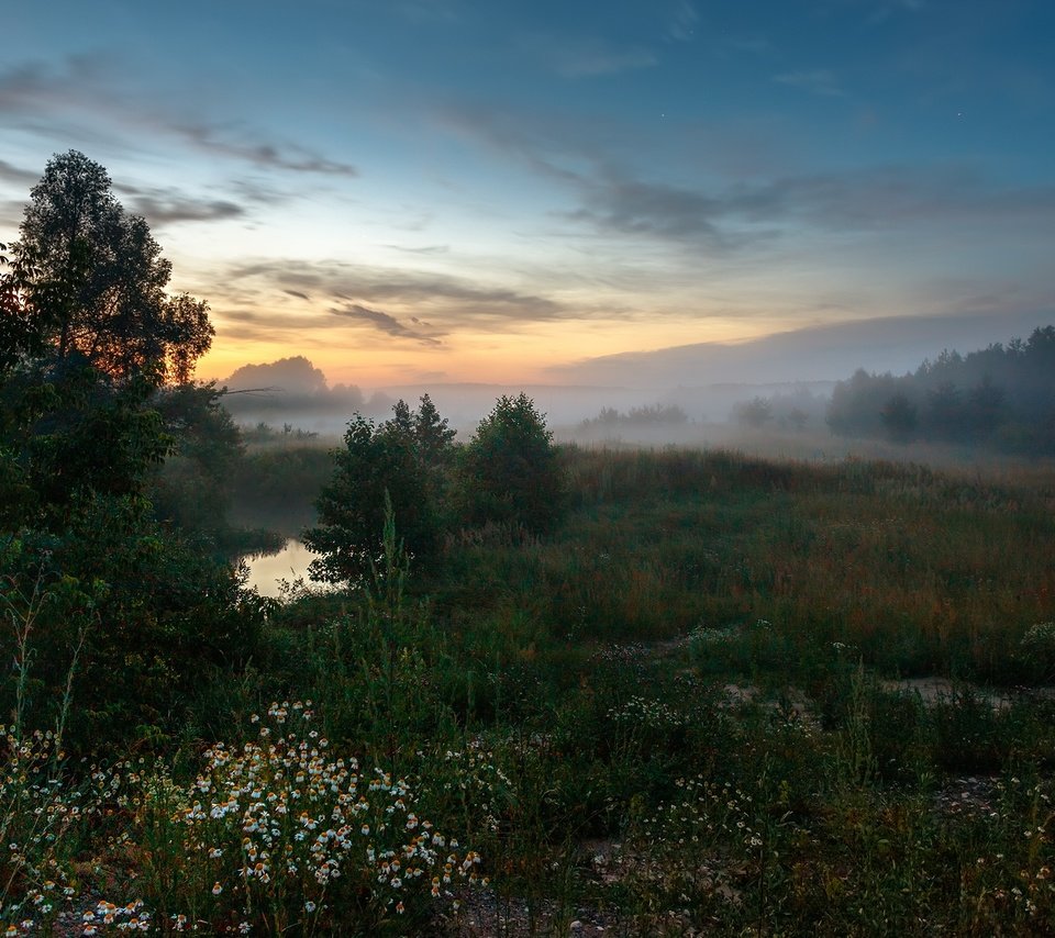 Обои деревья, вечер, природа, пейзаж, туман, луг, травы, trees, the evening, nature, landscape, fog, meadow, grass разрешение 1920x1200 Загрузить