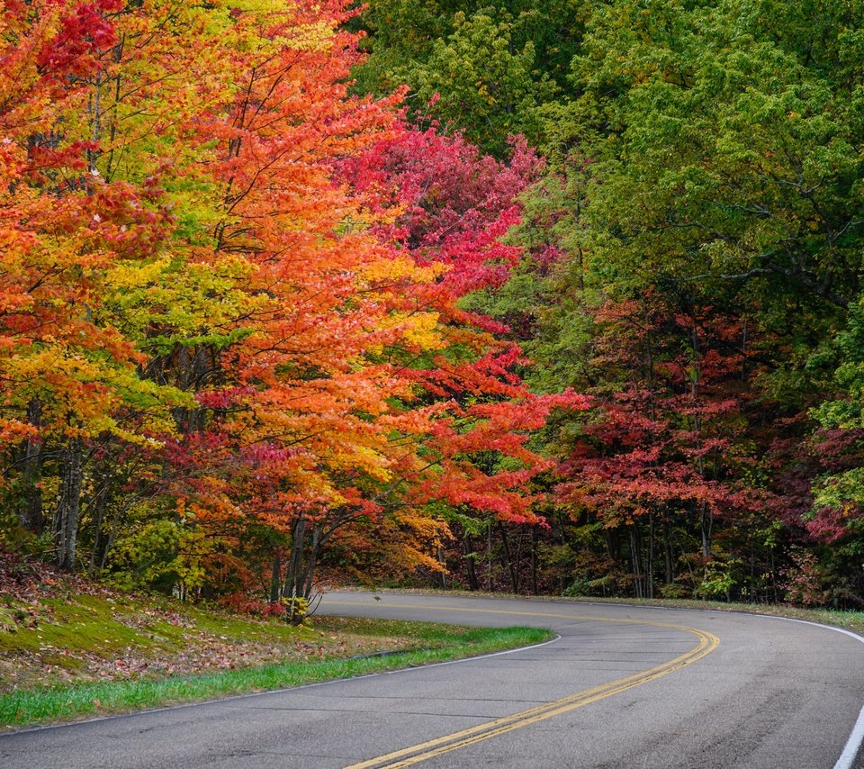 Обои дорога, деревья, листья, парк, осень, road, trees, leaves, park, autumn разрешение 4288x2848 Загрузить