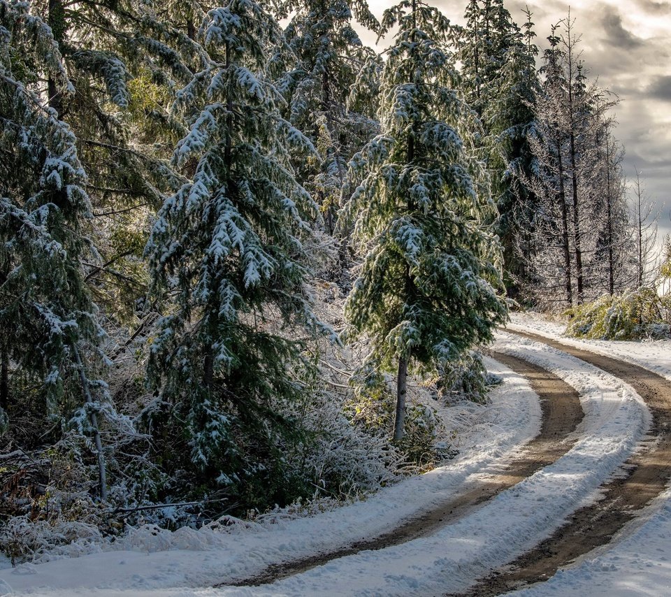 Обои дорога, лес, зима, road, forest, winter разрешение 3840x2160 Загрузить