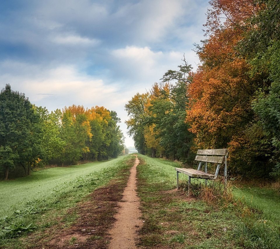 Обои дорога, осень, скамья, road, autumn, bench разрешение 2048x1365 Загрузить