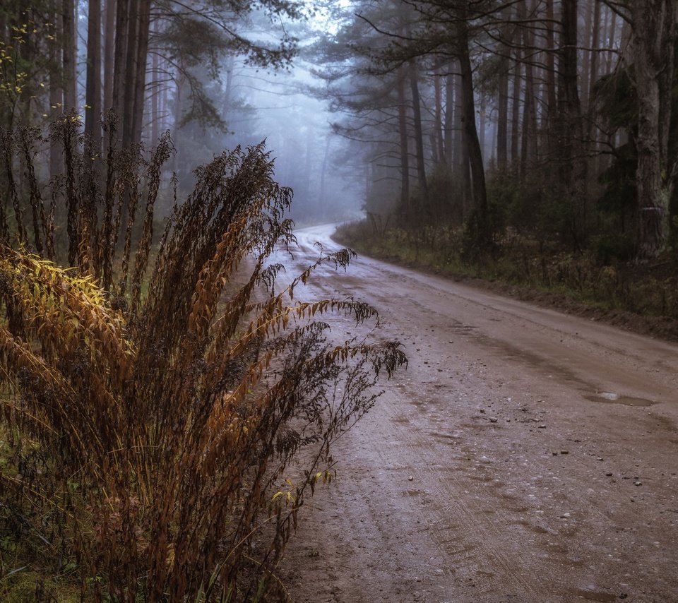 Обои дорога, осень, road, autumn разрешение 3840x2160 Загрузить