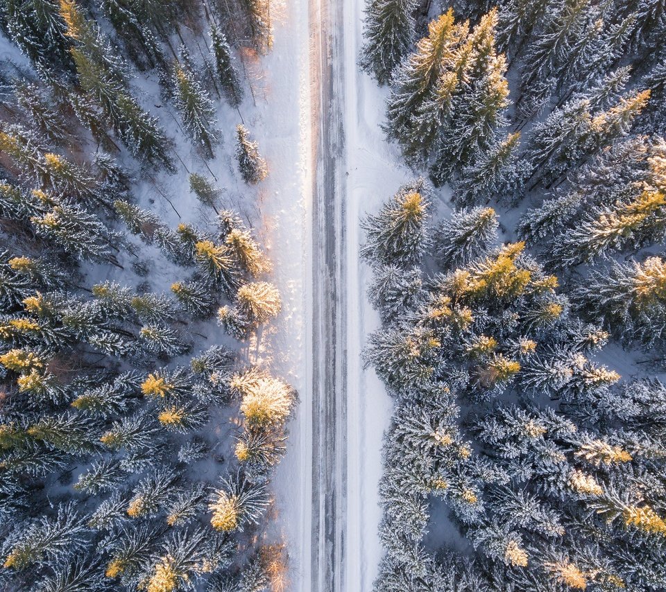 Обои дорога, снег, лес, зима, ели, road, snow, forest, winter, ate разрешение 3840x2160 Загрузить