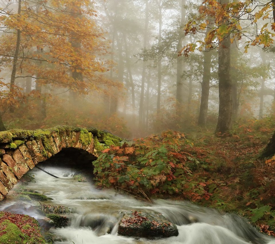 Обои мост, осень, bridge, autumn разрешение 3840x2160 Загрузить