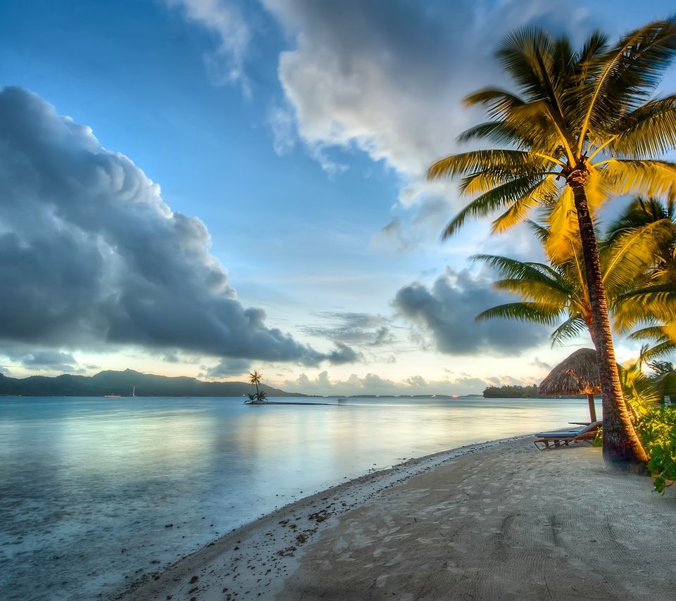 Обои пальмы, океан, тропический остров, palm trees, the ocean разрешение 2560x1704 Загрузить