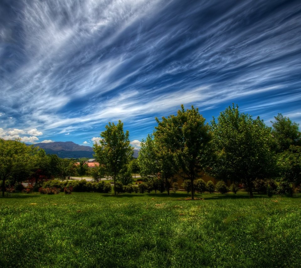 Обои небо, трава, облака, деревья, природа, зелень, пейзаж, the sky, grass, clouds, trees, nature, greens, landscape разрешение 2880x1800 Загрузить