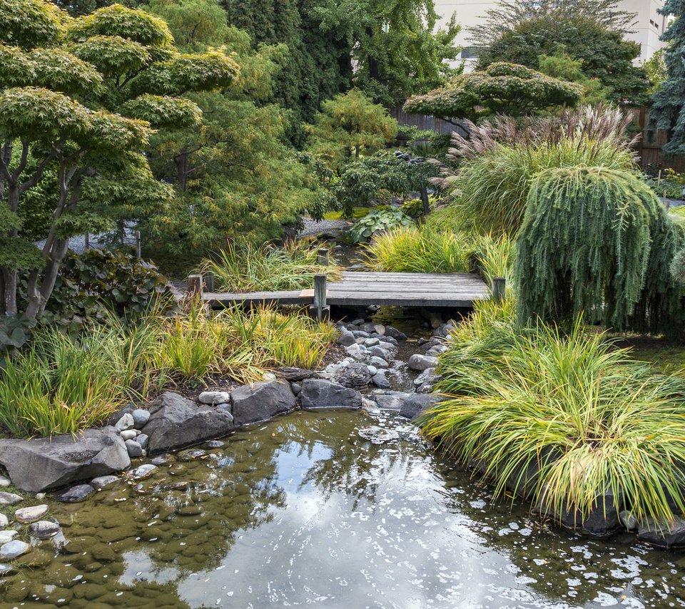 Обои природа, кустарники, мостик, kelowna kasugai gardens, парк, водоем, сад, поток, канада, деревь, nature, shrubs, the bridge, park, pond, garden, stream, canada, trees разрешение 2760x1700 Загрузить