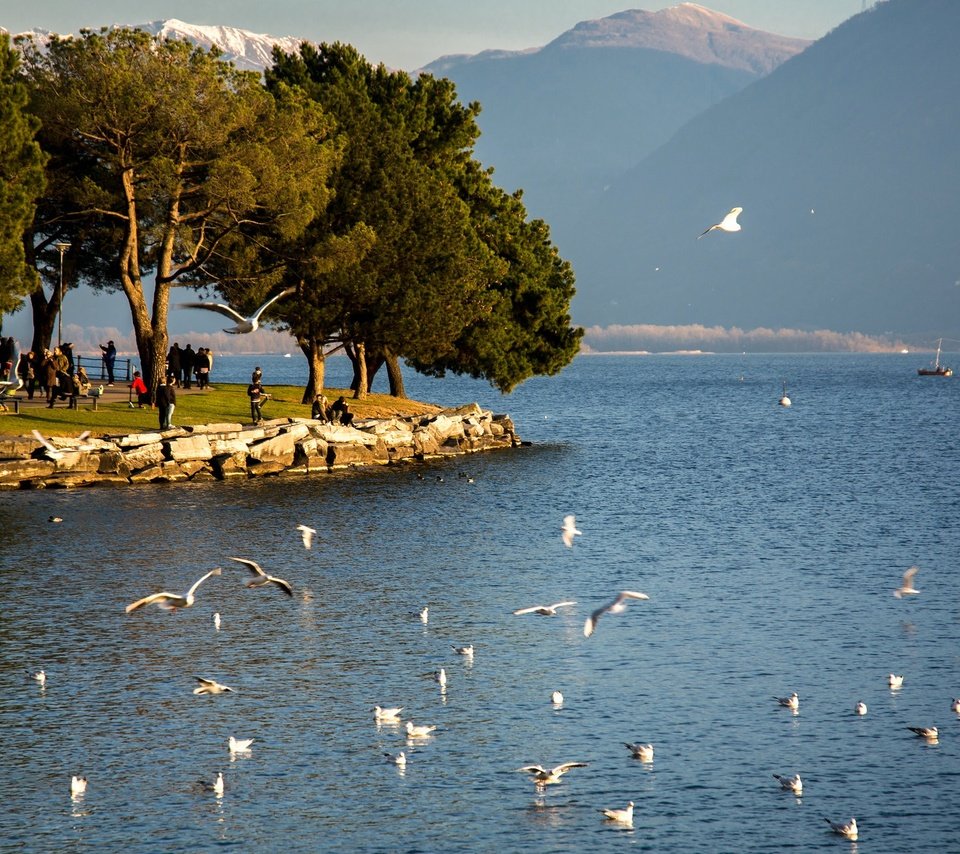 Обои озеро, швейцария, маджоре, lake, switzerland, maggiore разрешение 2047x1365 Загрузить