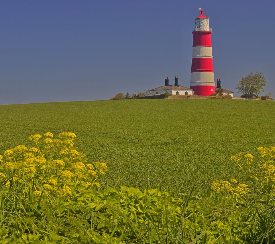 Обои поле, маяк, дом, англия, field, lighthouse, house, england разрешение 3072x2048 Загрузить