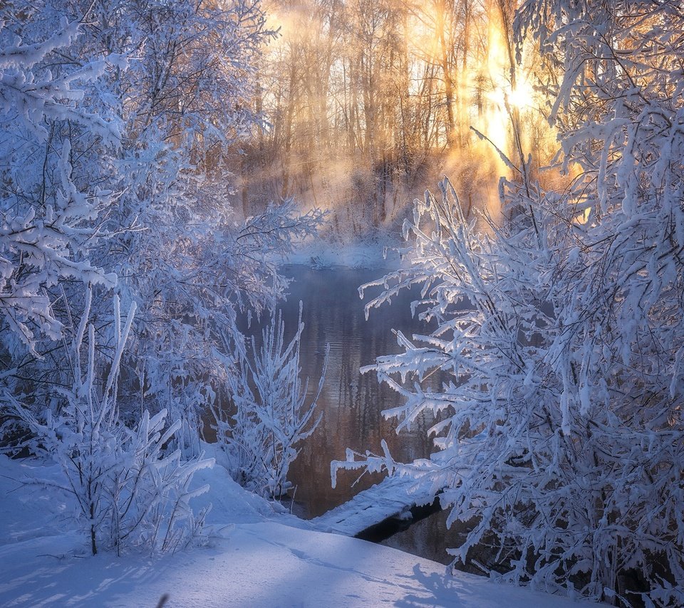 Обои деревья, стужа, река, снег, зима, утро, мороз, россия, алтай, trees, river, snow, winter, morning, frost, russia, altay разрешение 1920x1280 Загрузить