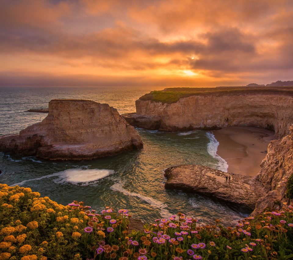 Обои цветы, санта-крус, скалы, shark fin cove, закат, санта-круз, побережье, калифорния, бухта, pacific ocean, тихий океан, ка­ли­фор­нийс­кая, california, flowers, santa cruz, rocks, sunset, coast, ca, bay, the pacific ocean разрешение 3000x2002 Загрузить