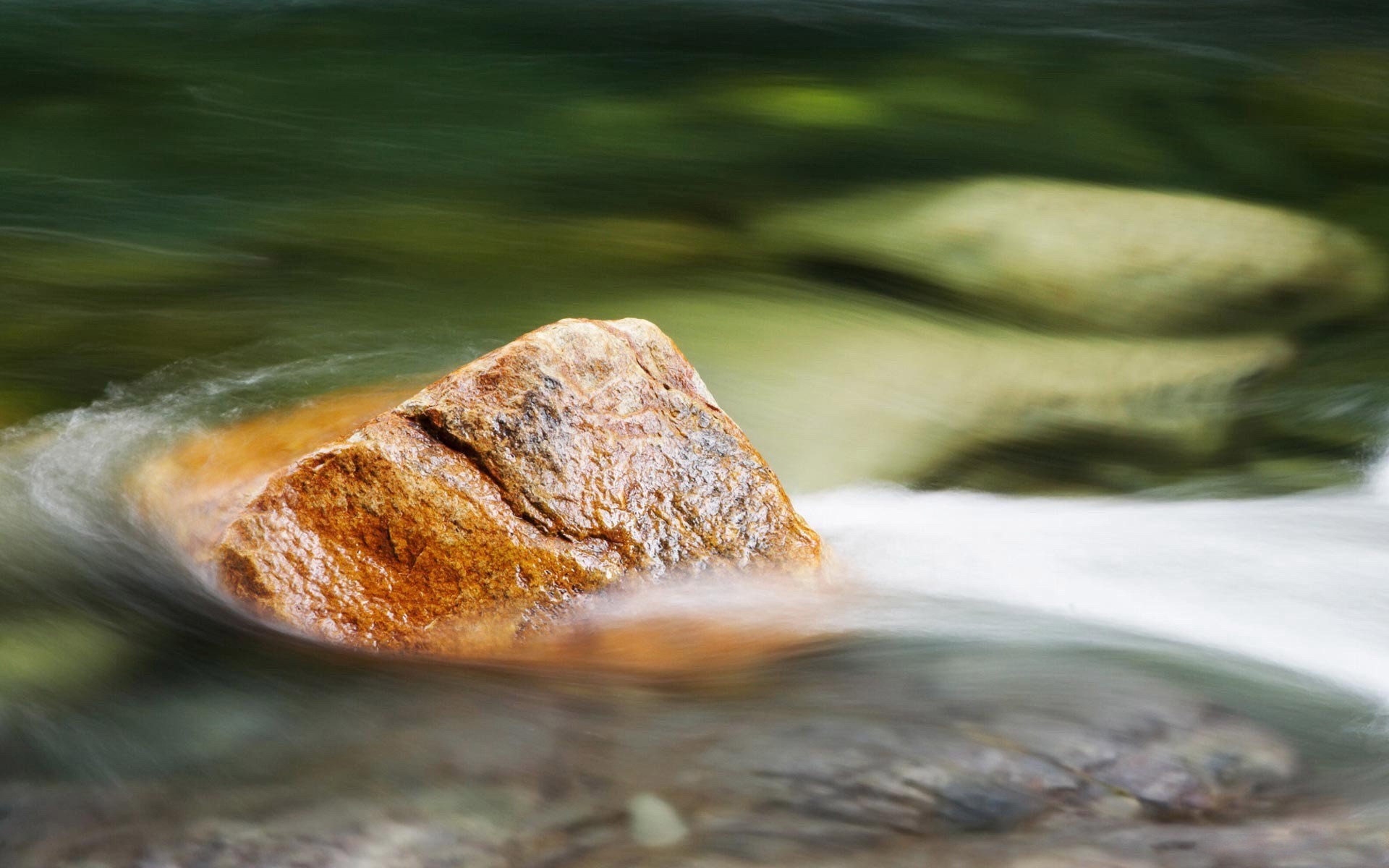 Мокрые листья на камне в реке скачать