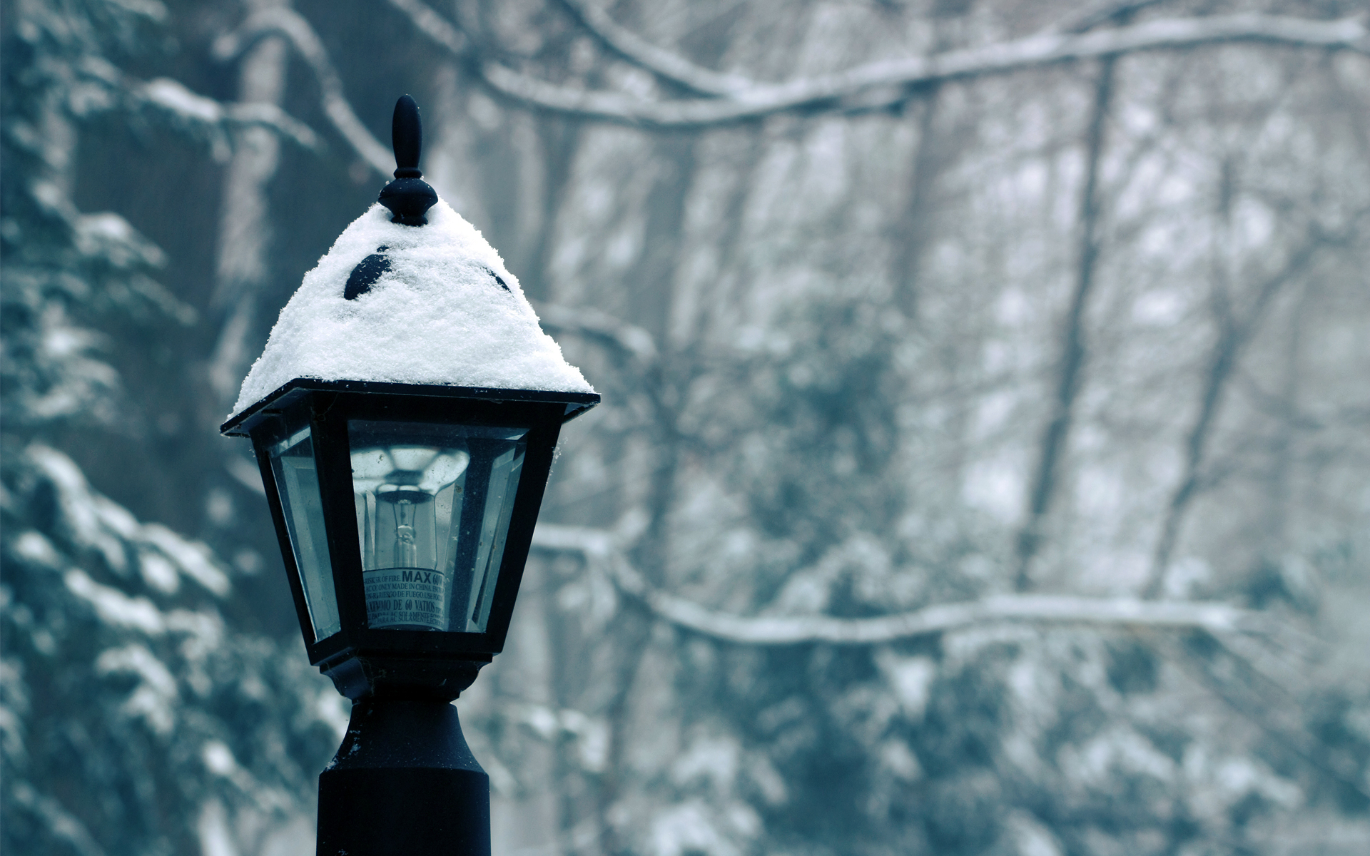 Обои снег, зима, фонарь, лампочка, snow, winter, lantern, light bulb разрешение 1920x1200 Загрузить