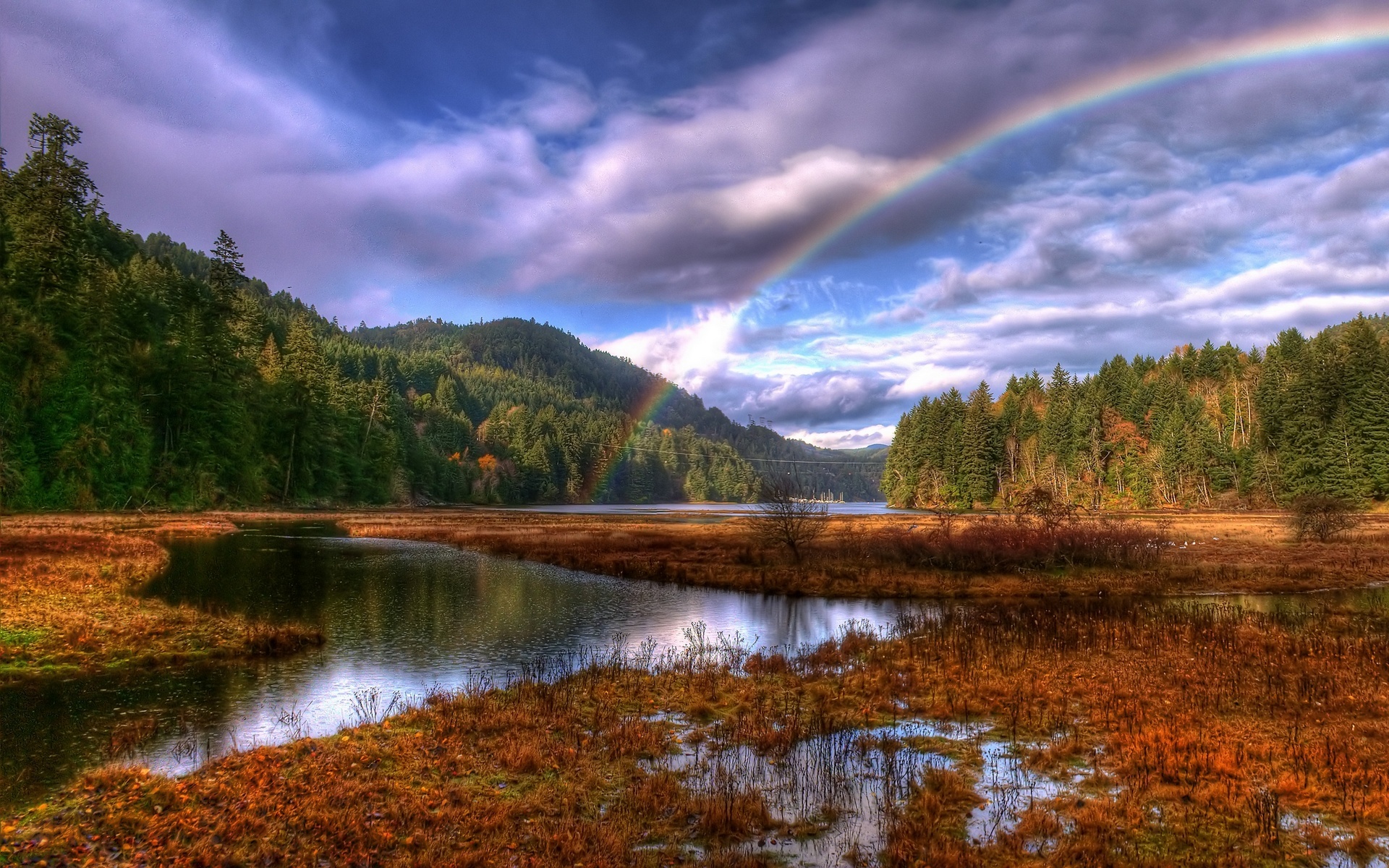 Обои облака, лес, радуга, clouds, forest, rainbow разрешение 1920x1200 Загрузить