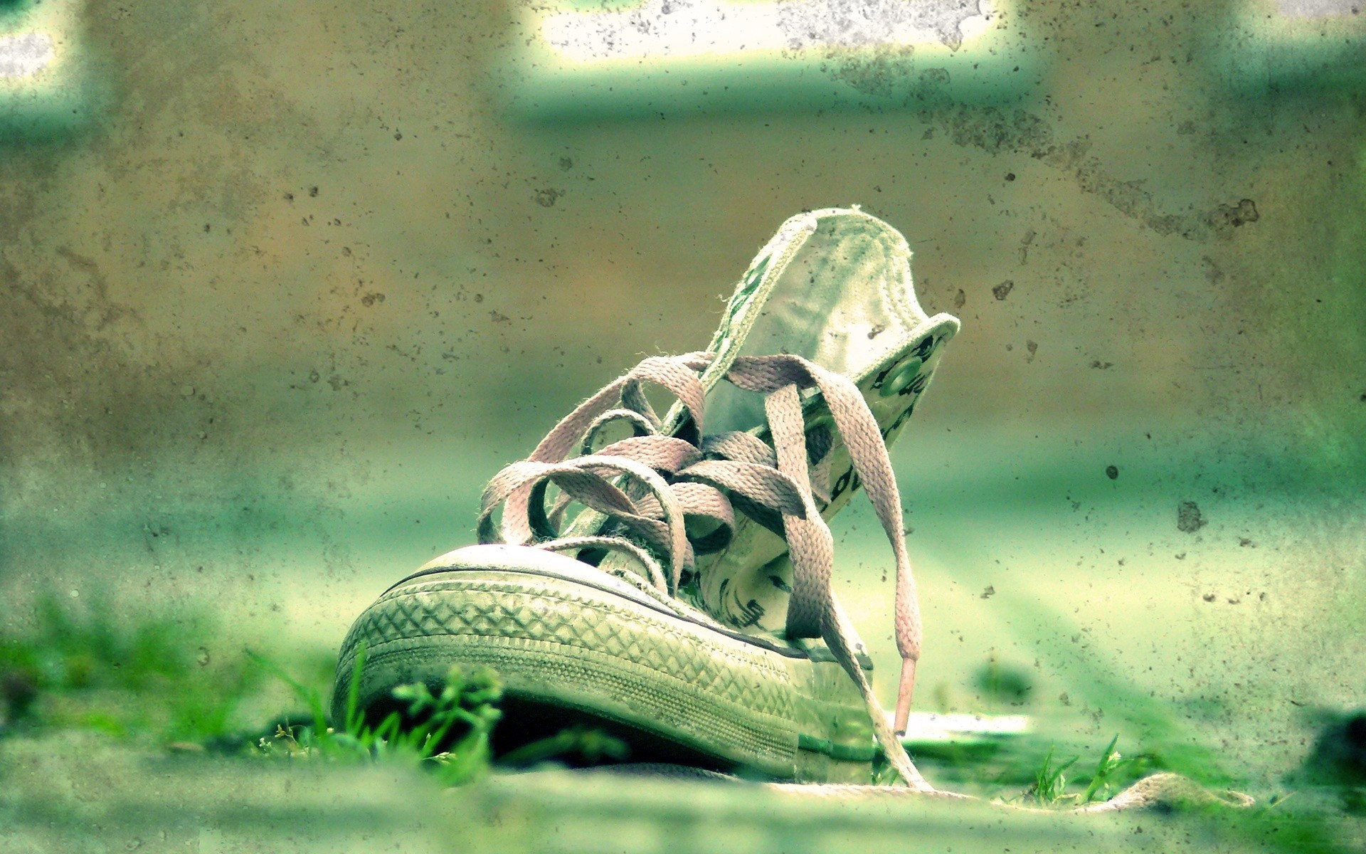 Обои трава, зелёный, кеды, пятна, обувь, шнурки, grass, green, sneakers, spot, shoes, laces разрешение 1920x1200 Загрузить