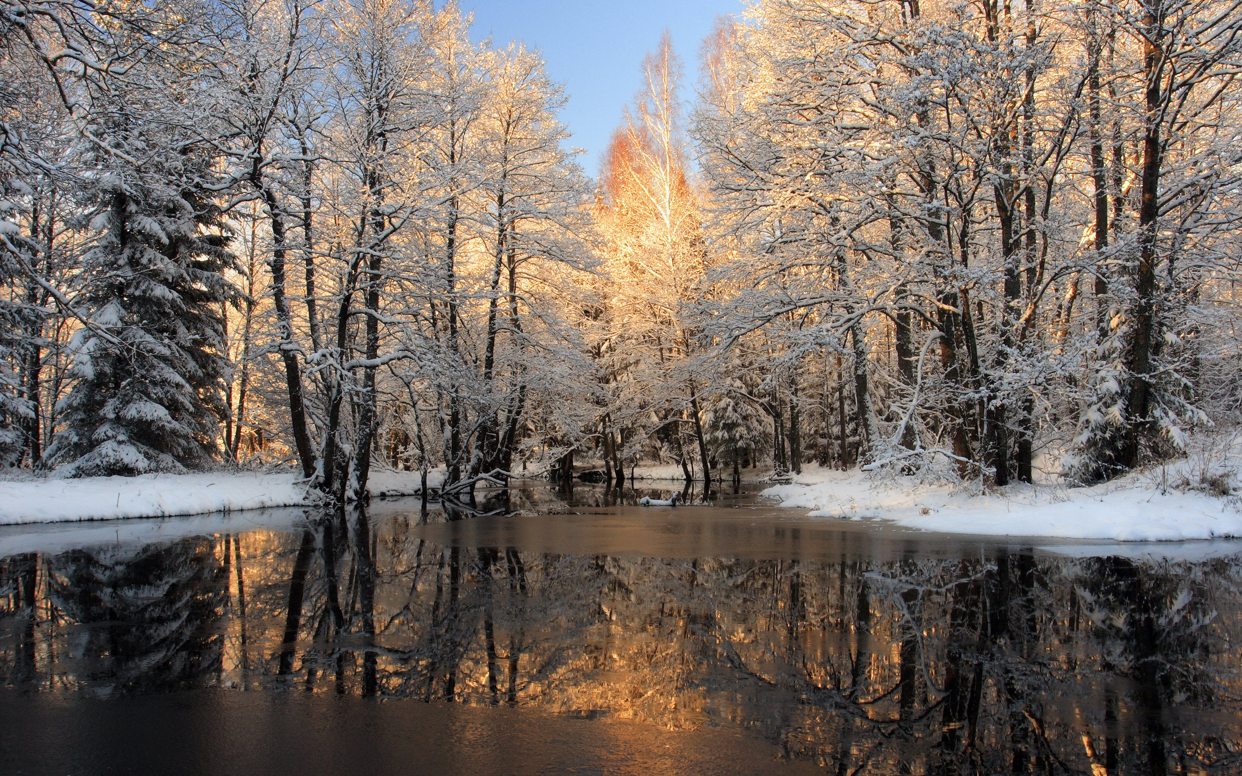 природа зима снег река деревья загрузить