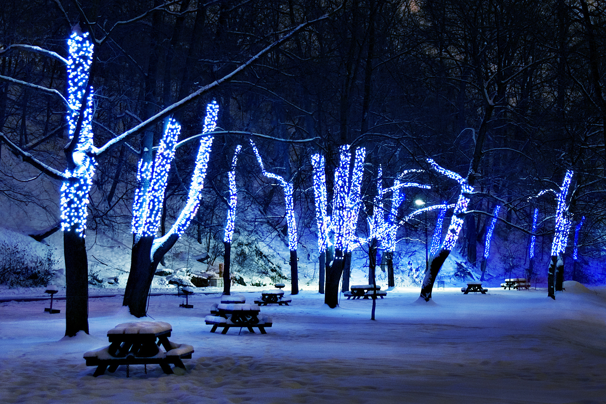Обои деревья, снег, зима, иллюминация, праздник, рождественские огни, trees, snow, winter, illumination, holiday разрешение 2048x1365 Загрузить