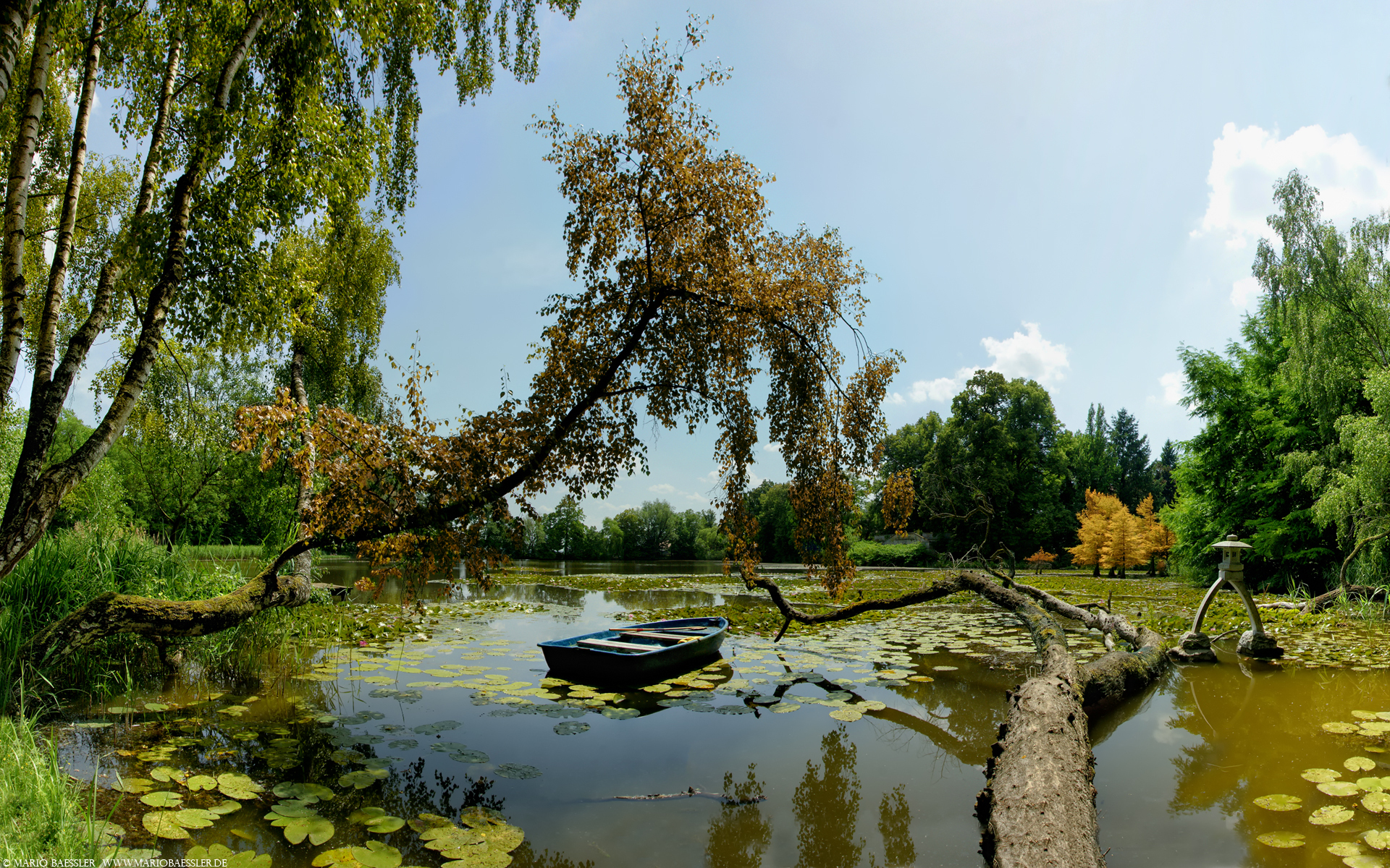 природа лодка деревья озеро скачать