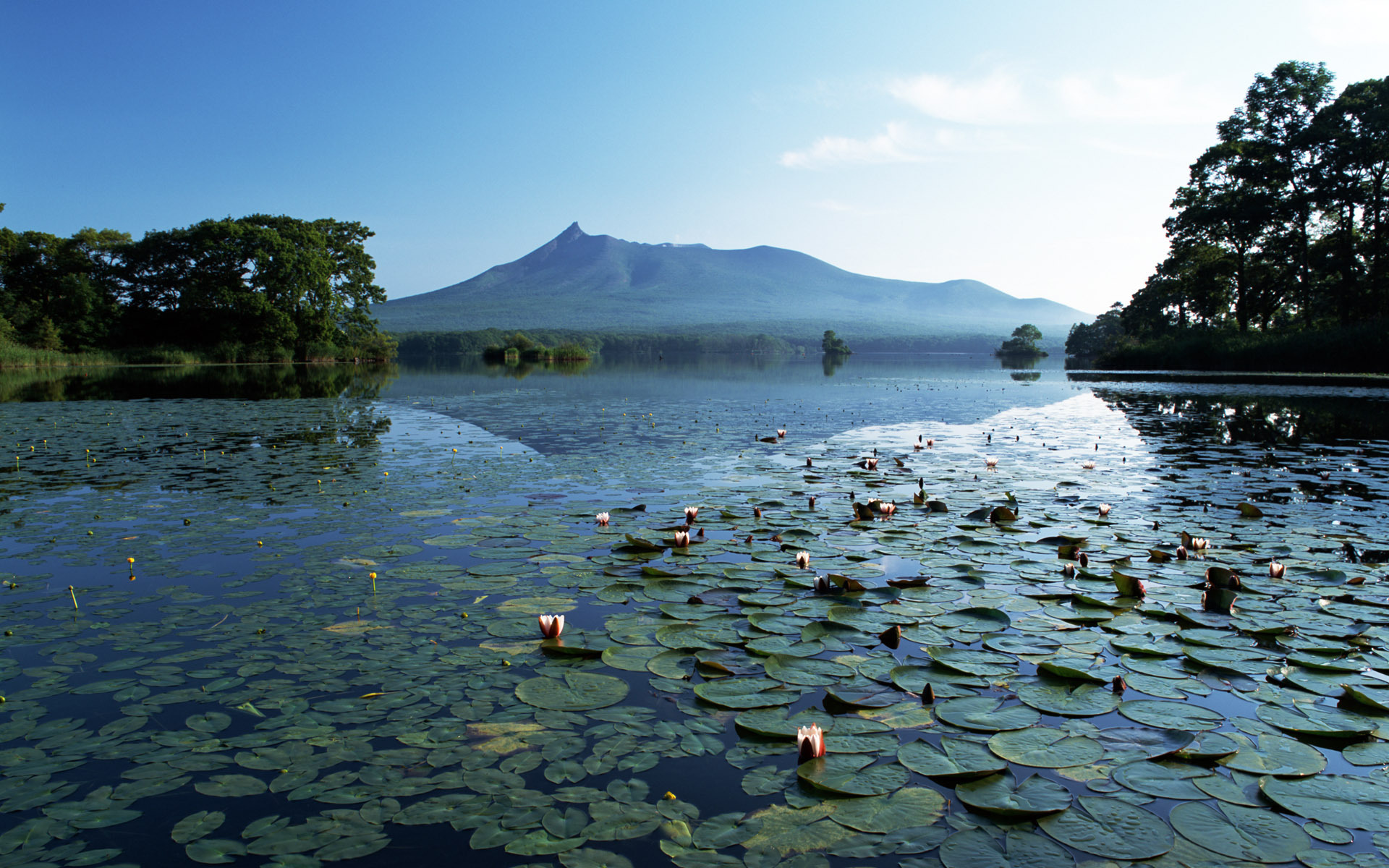 Обои озеро, горы, тишина, лилии, lake, mountains, silence, lily разрешение 1920x1200 Загрузить
