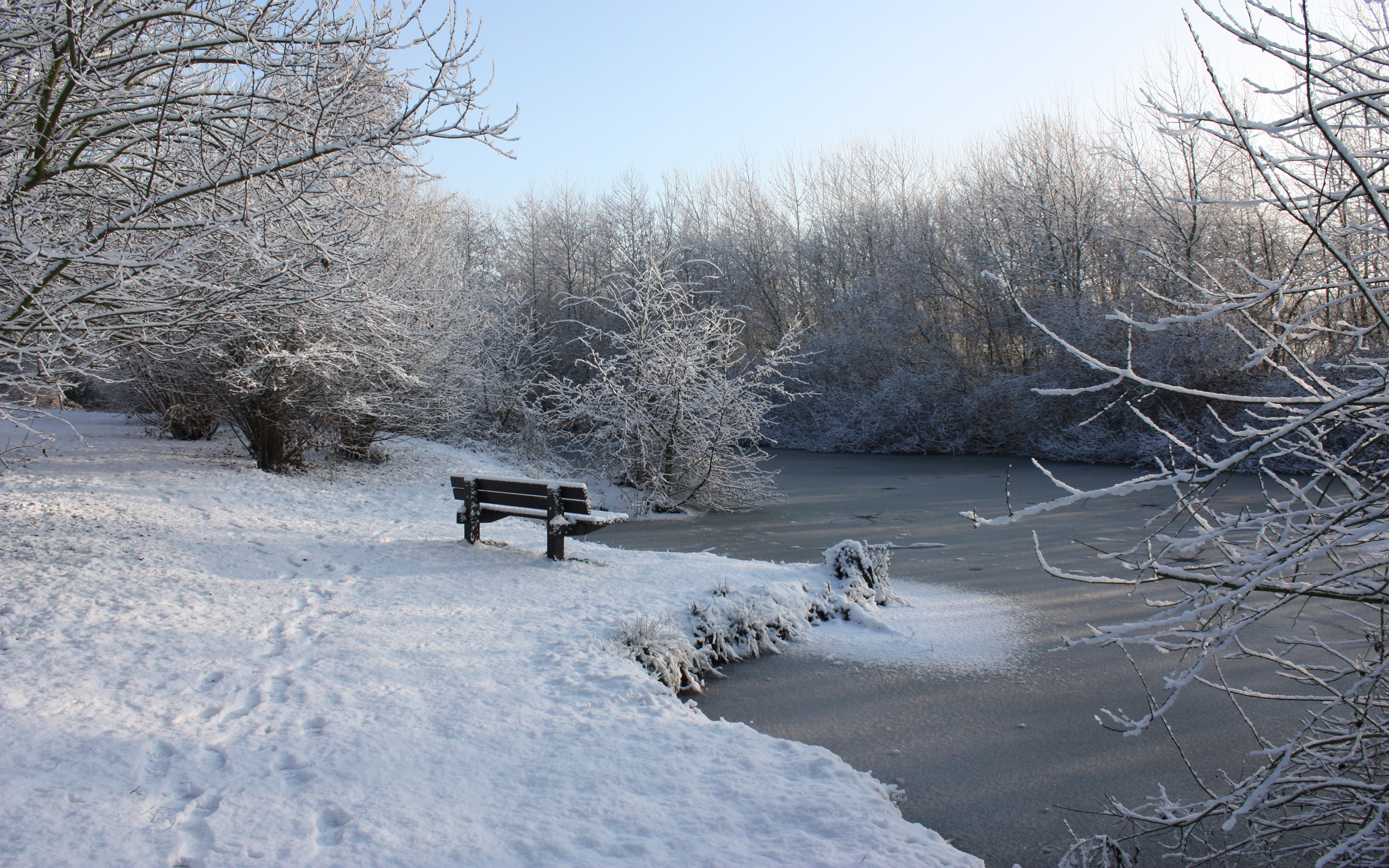 Обои река, снег, зима, лавочка, river, snow, winter, shop разрешение 2560x1600 Загрузить