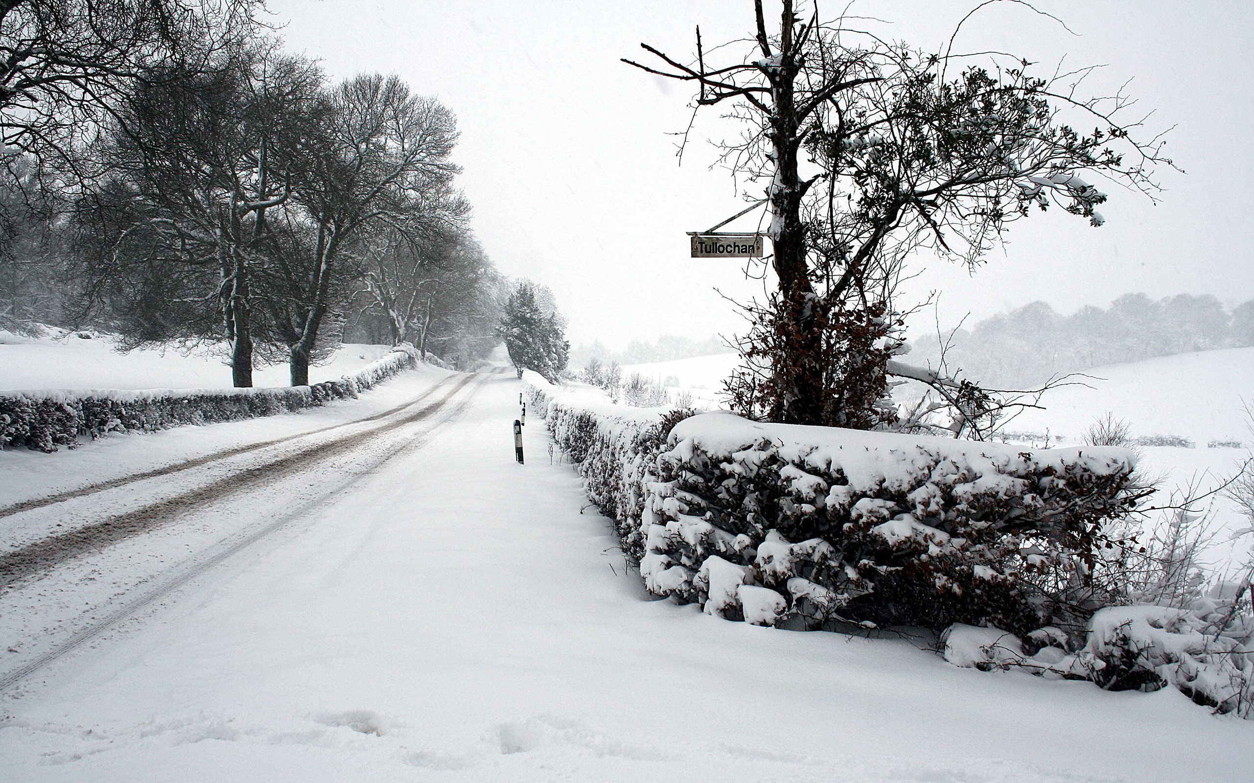 дорога снег деревья road snow trees загрузить