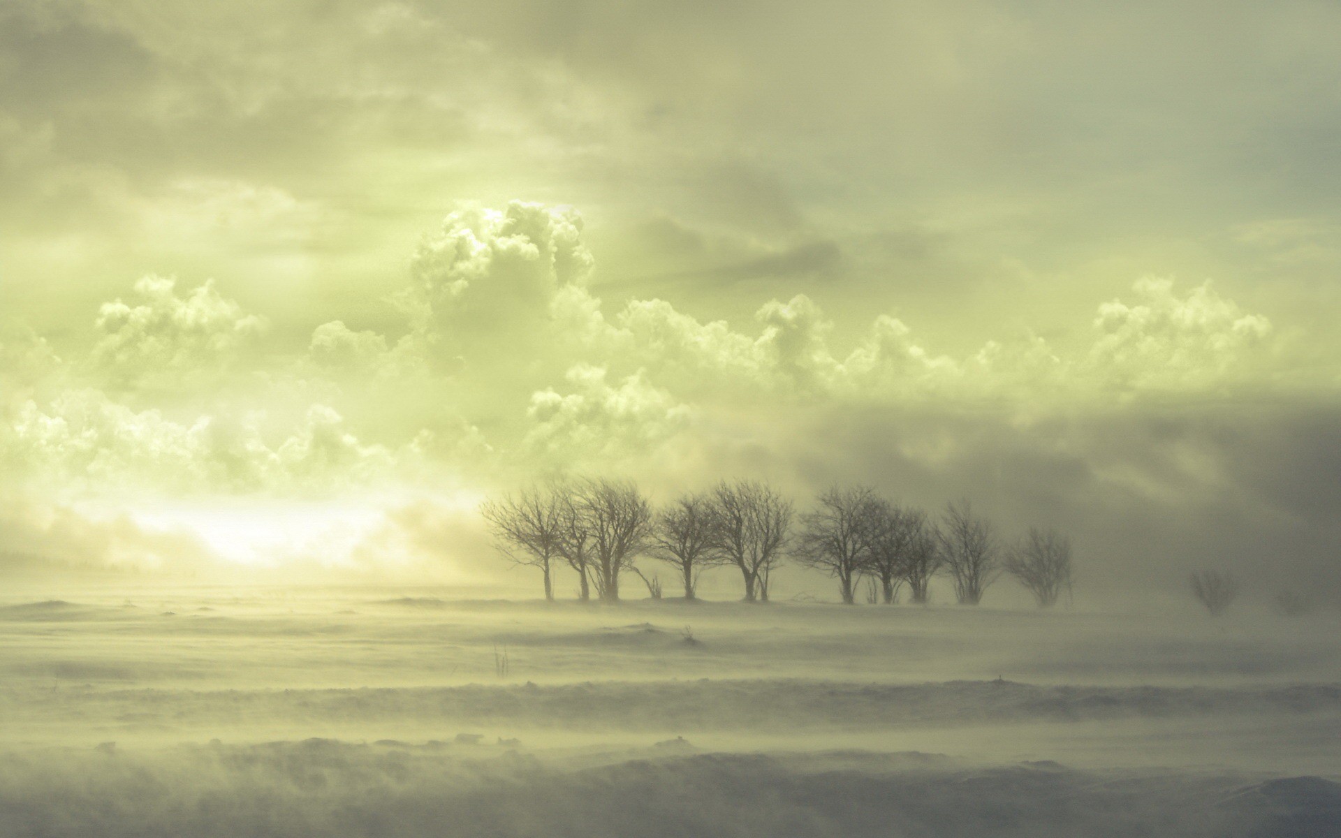 Обои облака, деревья, снег, clouds, trees, snow разрешение 1920x1200 Загрузить