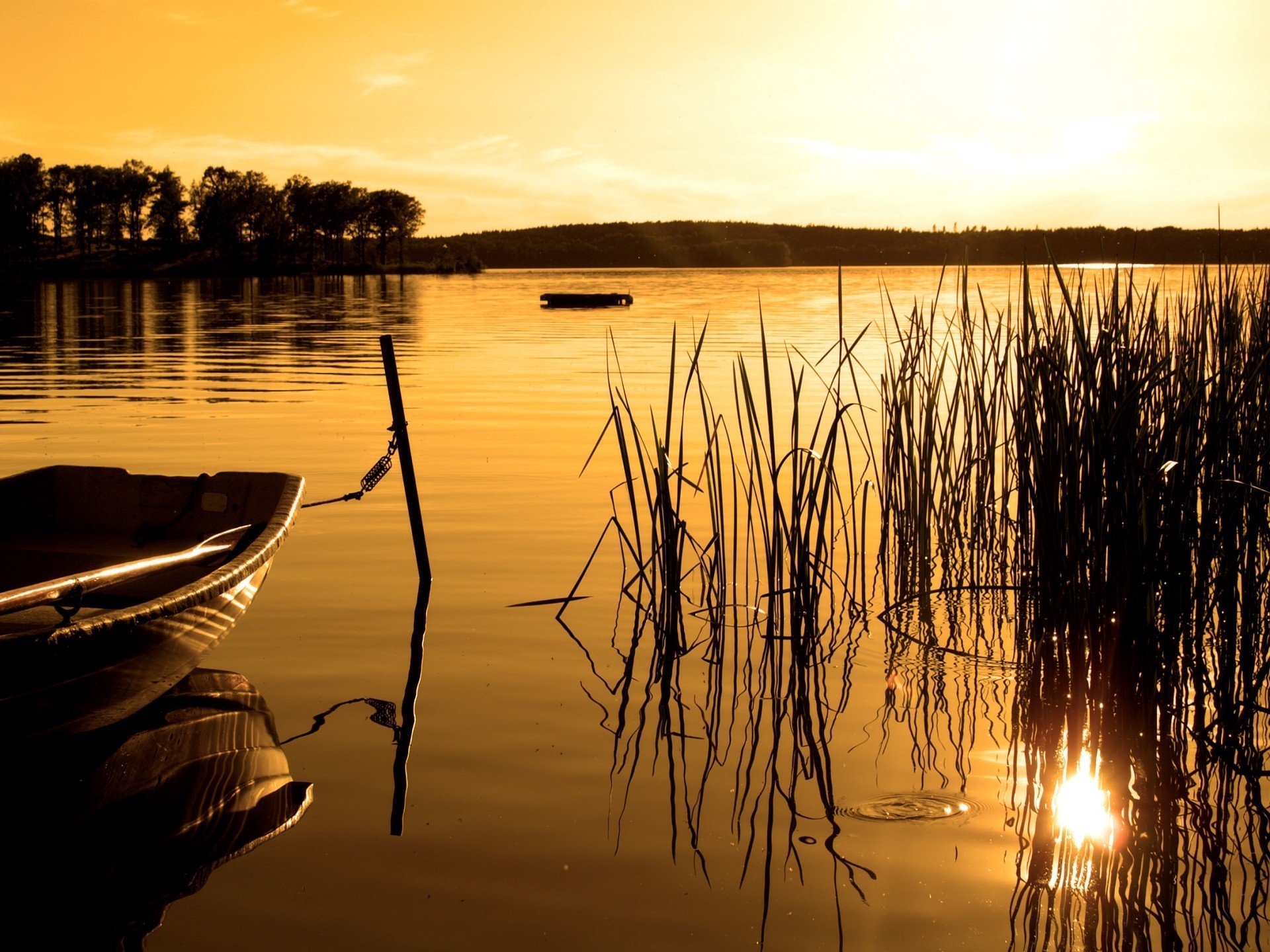 лодка озеро природа деревья трава загрузить