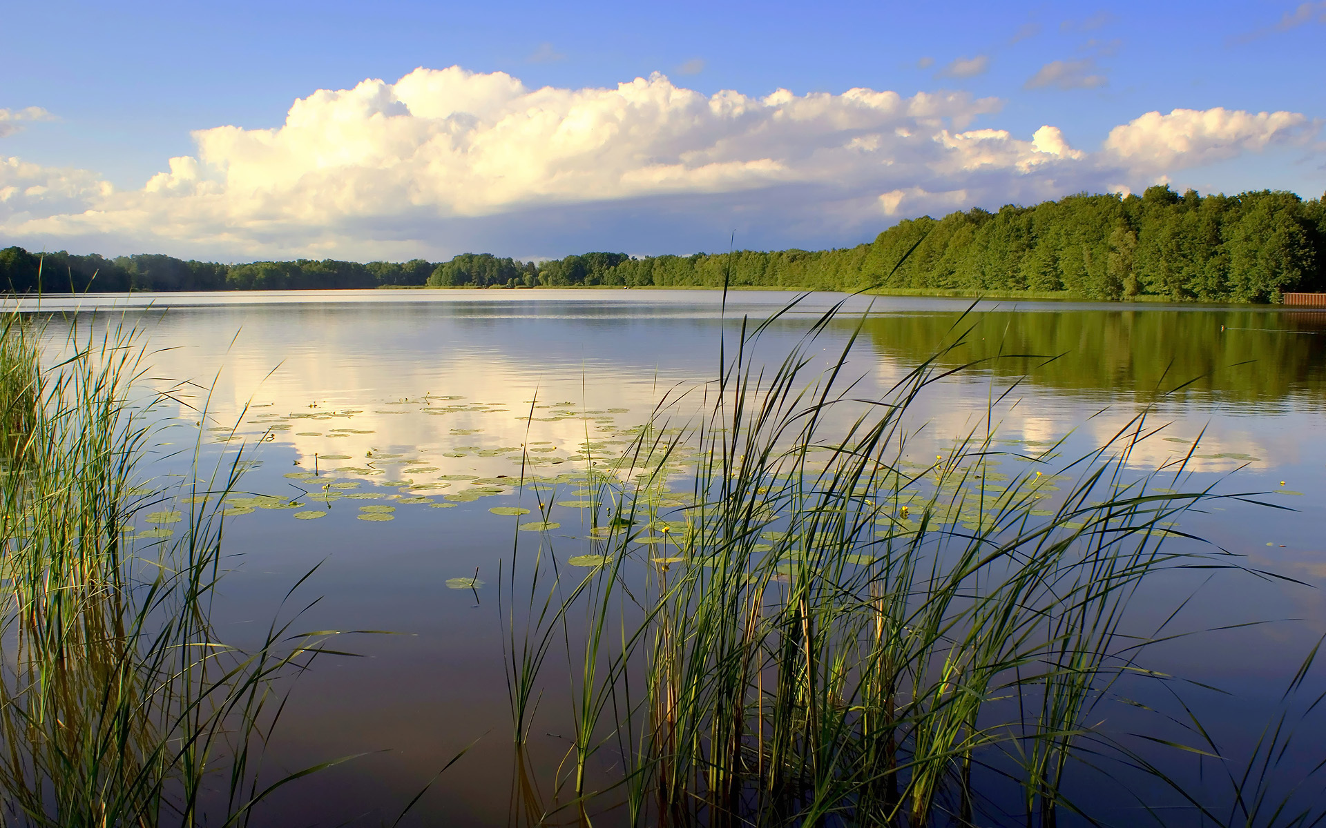 Обои небо, река, природа, лес, пейзаж, the sky, river, nature, forest, landscape разрешение 1920x1200 Загрузить