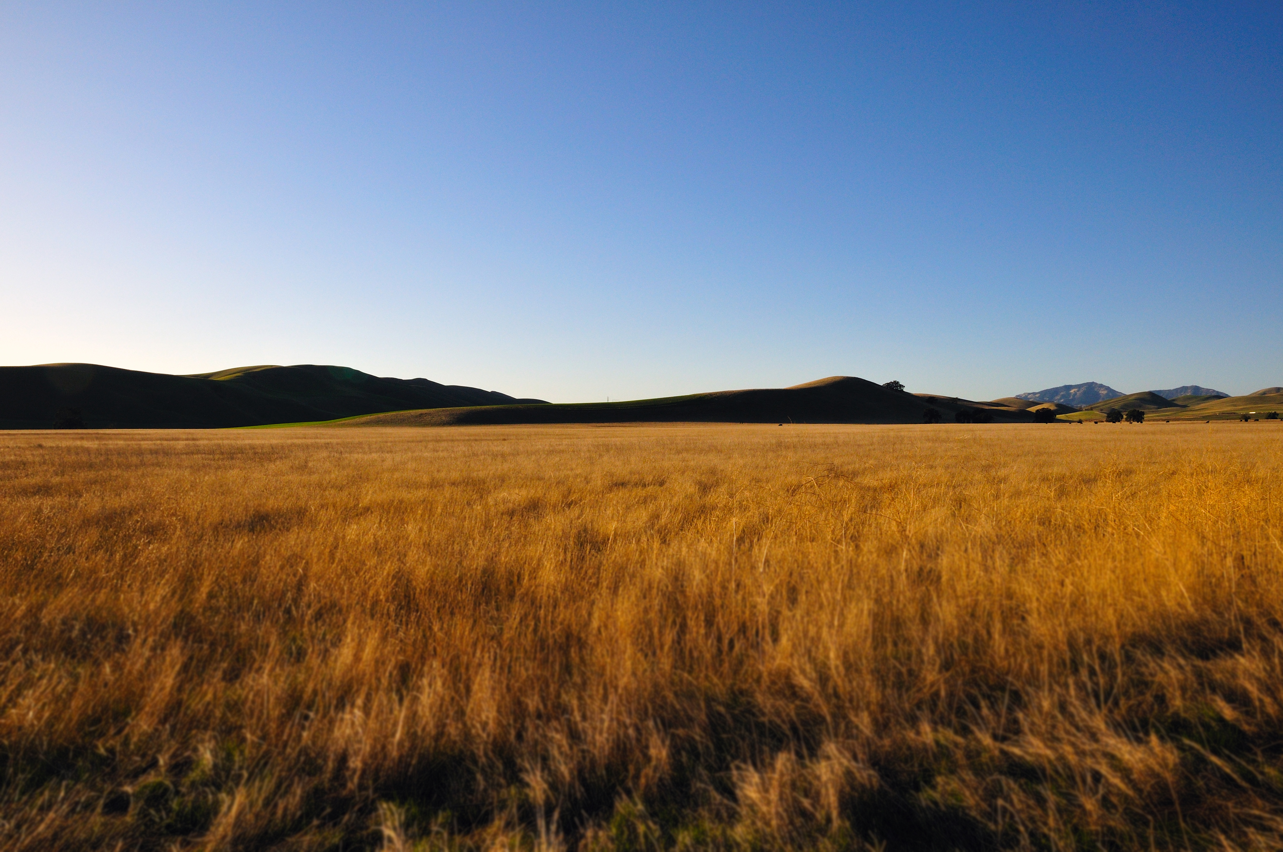 Обои небо, горы, поле, пшеница, the sky, mountains, field, wheat разрешение 4288x2848 Загрузить