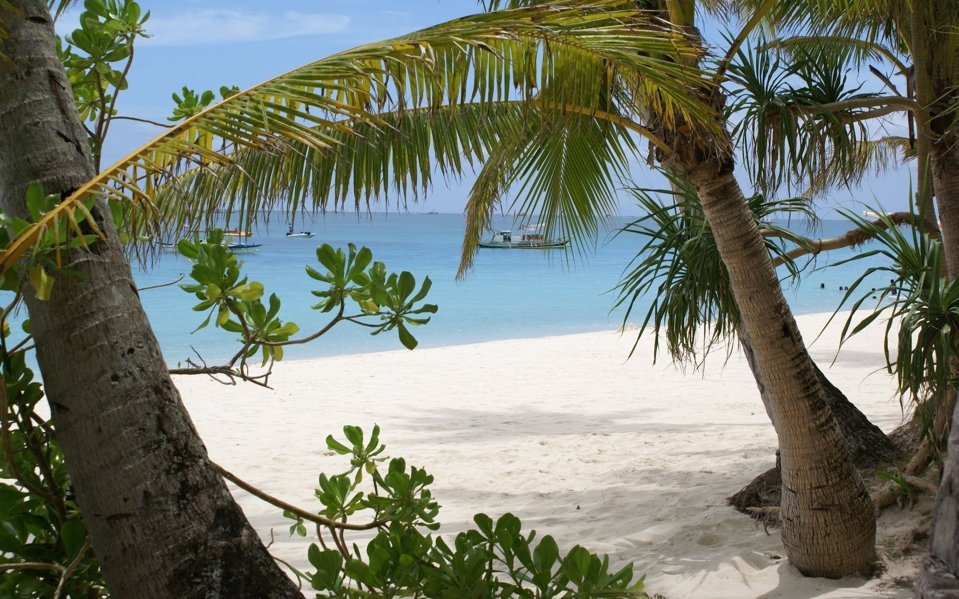 Обои берег, песок, ветки, залив, пальмы, остров, судна, shore, sand, branches, bay, palm trees, island, ship разрешение 1920x1200 Загрузить