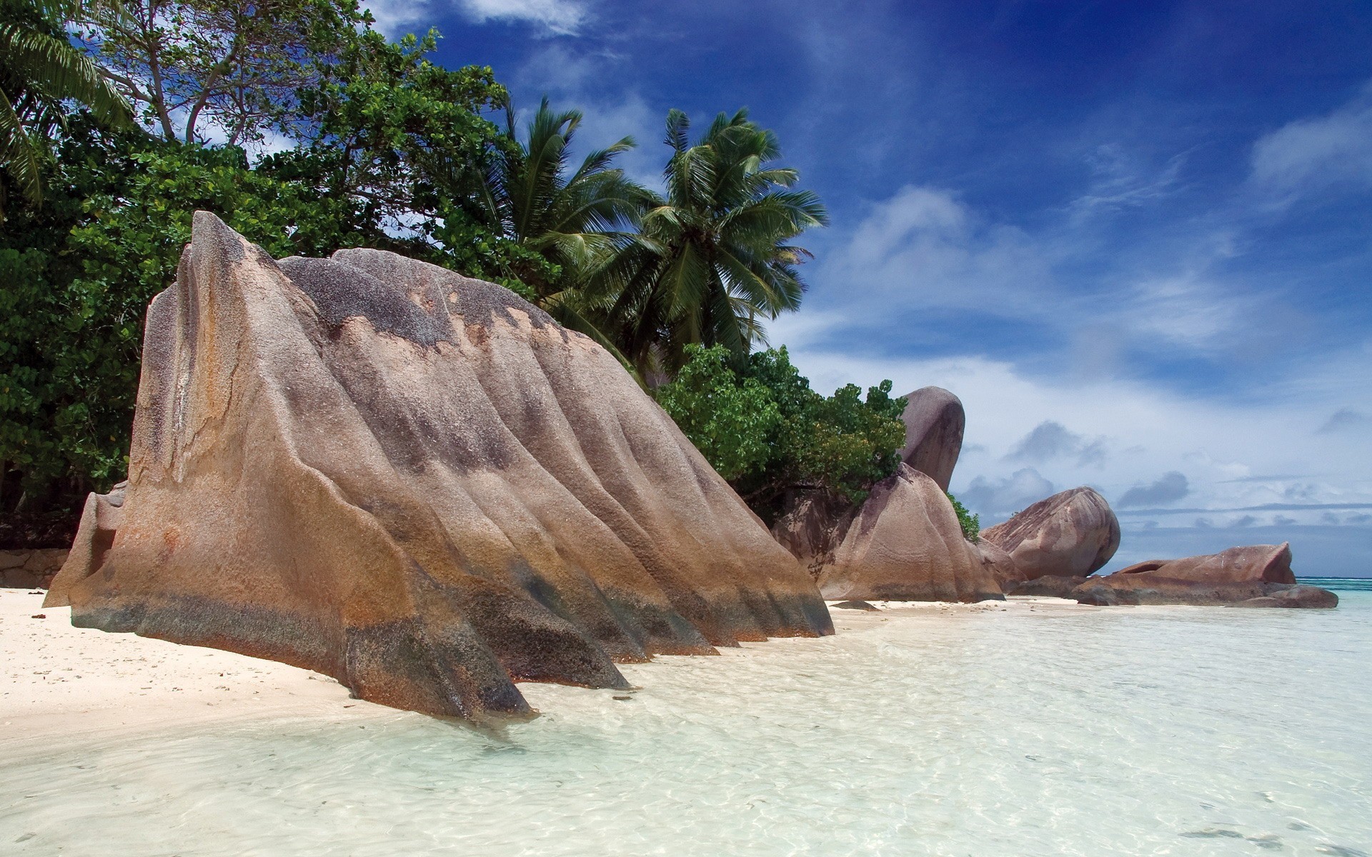 Обои камни, берег, пляж, пальмы, тропики, сейшелы, stones, shore, beach, palm trees, tropics, seychelles разрешение 1920x1200 Загрузить