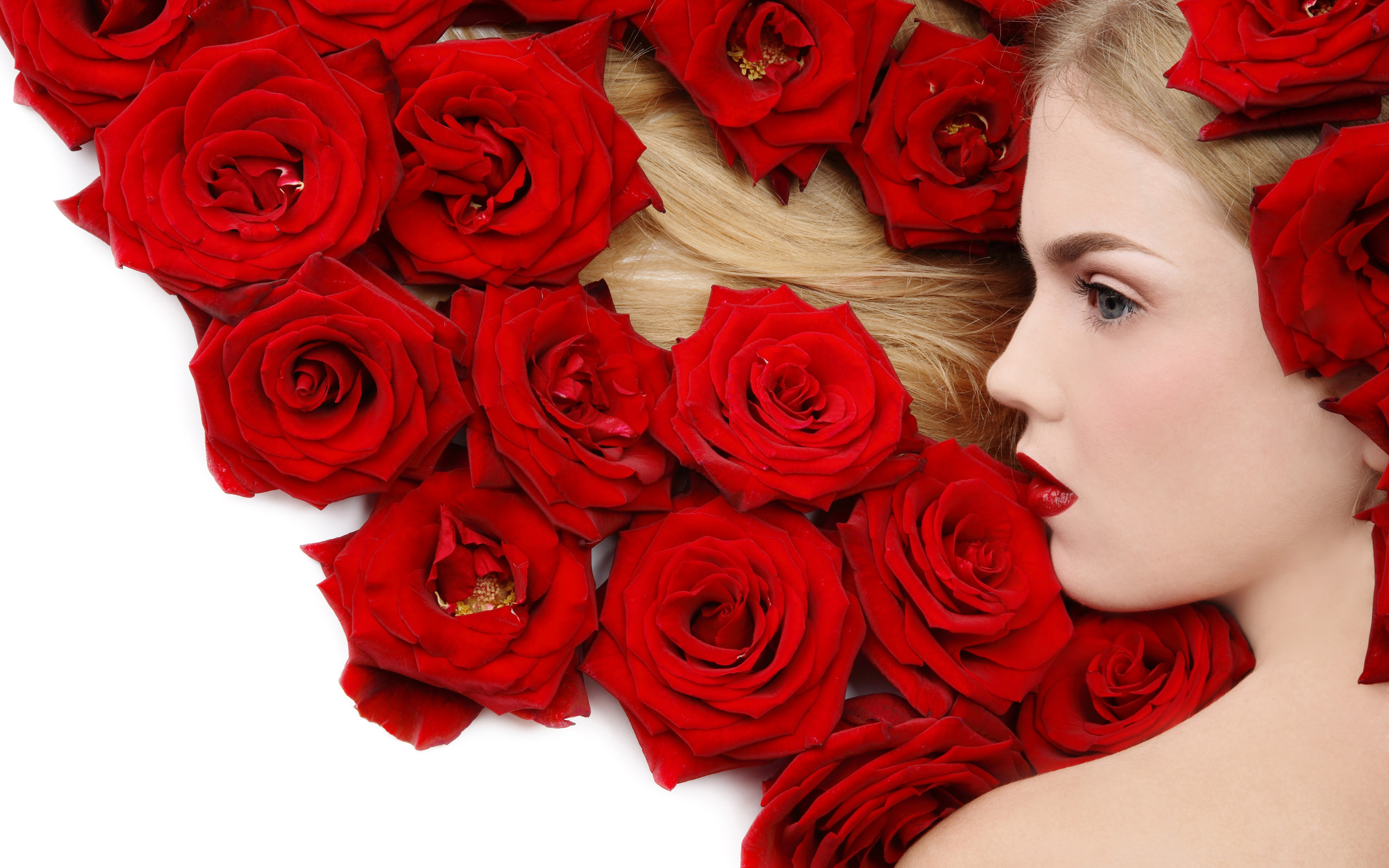 Обои цветы, девушка, блондинка, роза, красный, flowers, girl, blonde, rose, red разрешение 2560x1600 Загрузить