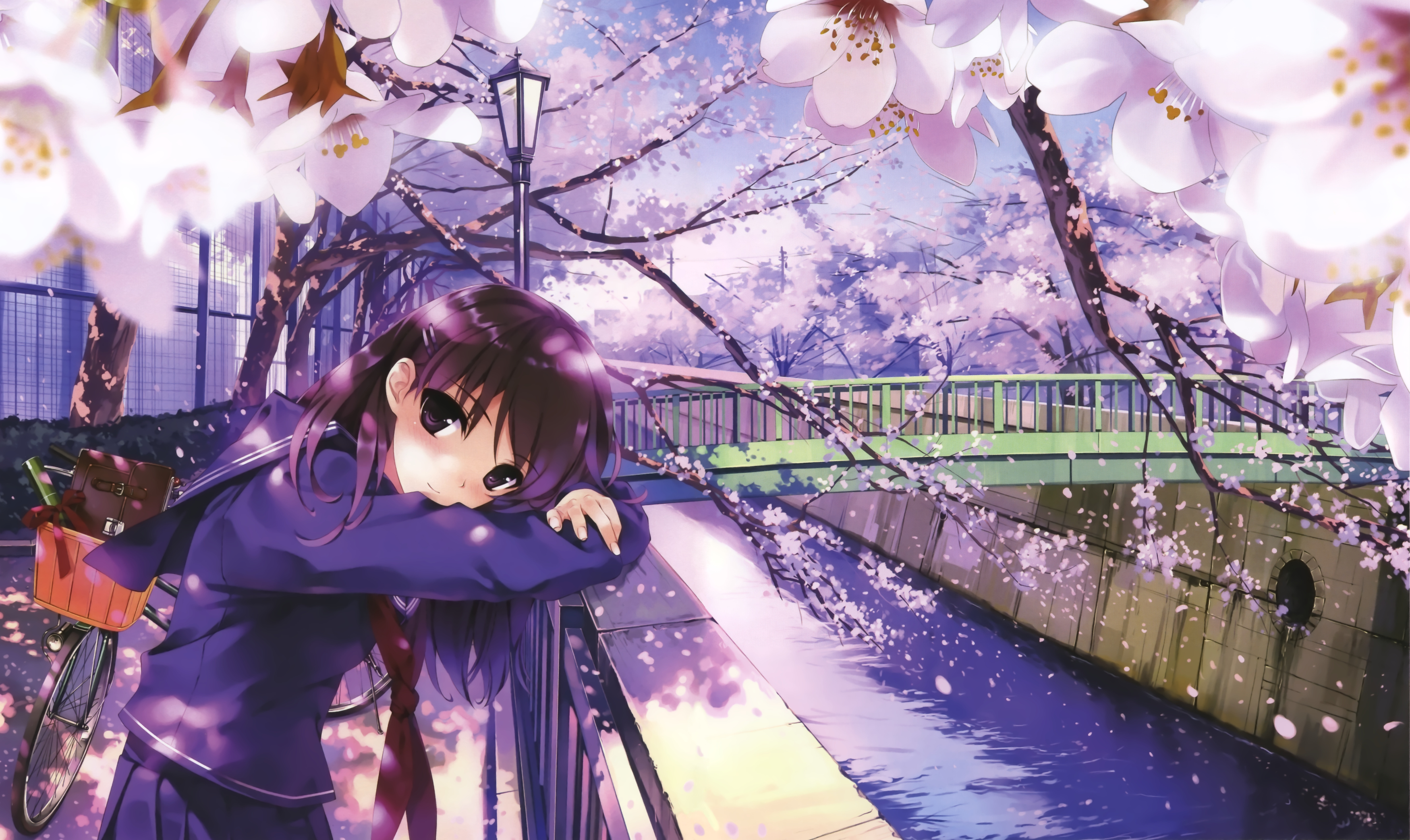 Обои мост, взгляд, сакура, нежность, bridge, look, sakura, tenderness разрешение 3500x2085 Загрузить