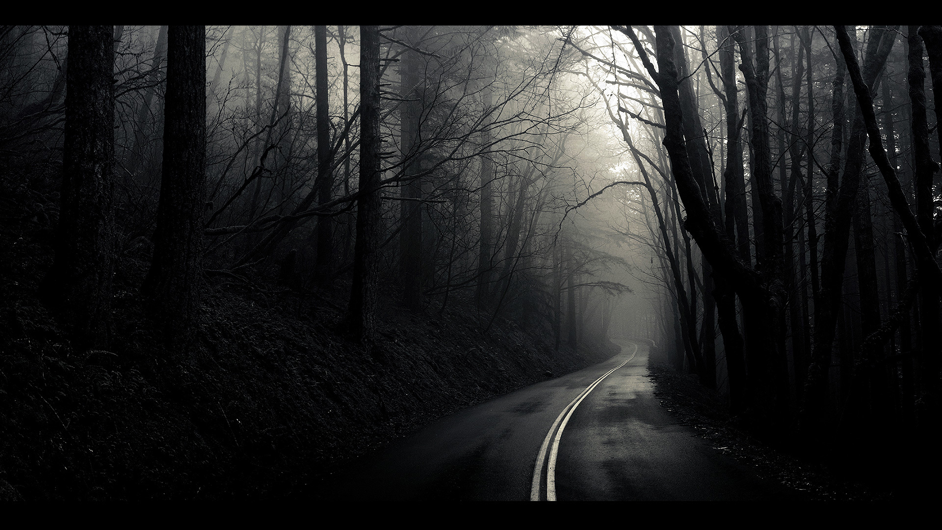 Обои дорога, деревья, лес, чёрно-белое, road, trees, forest, black and white разрешение 1920x1080 Загрузить