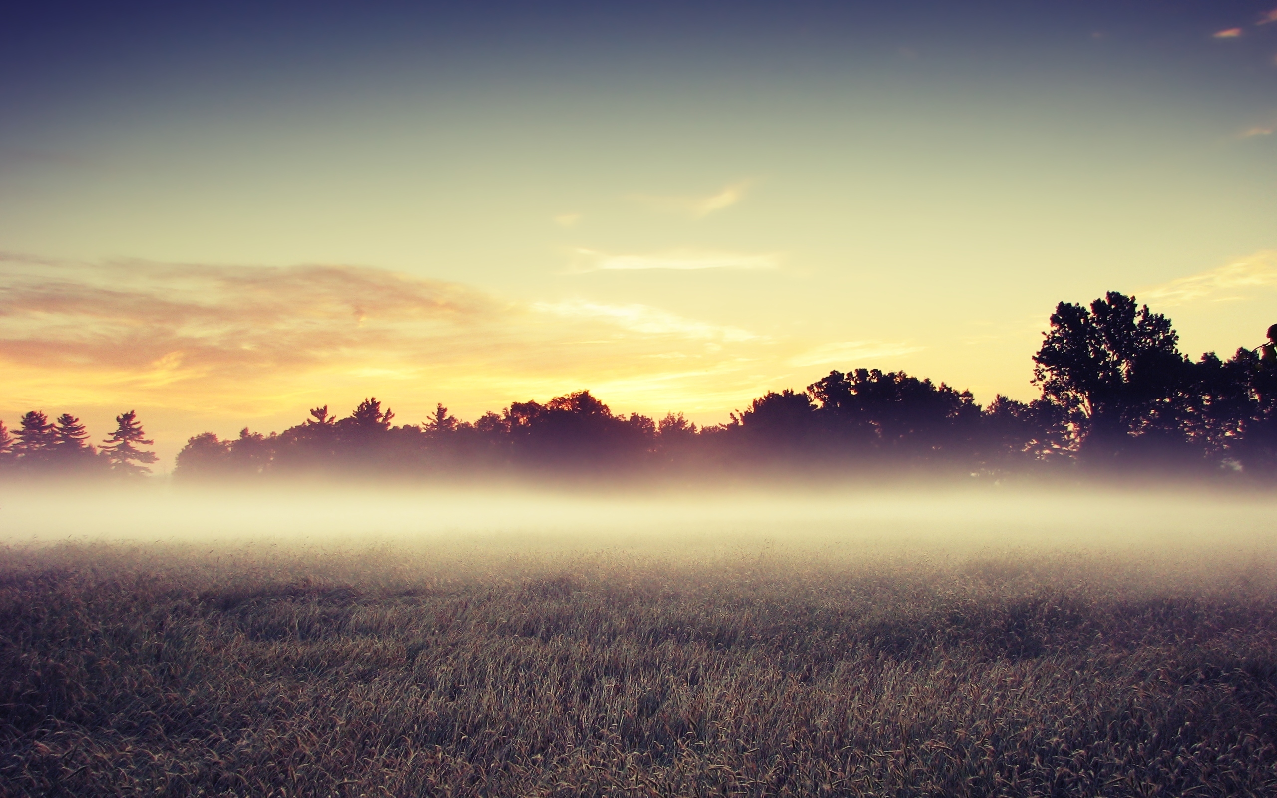 Morning Mist at Sunrise, Godalming, Surrey, England без смс