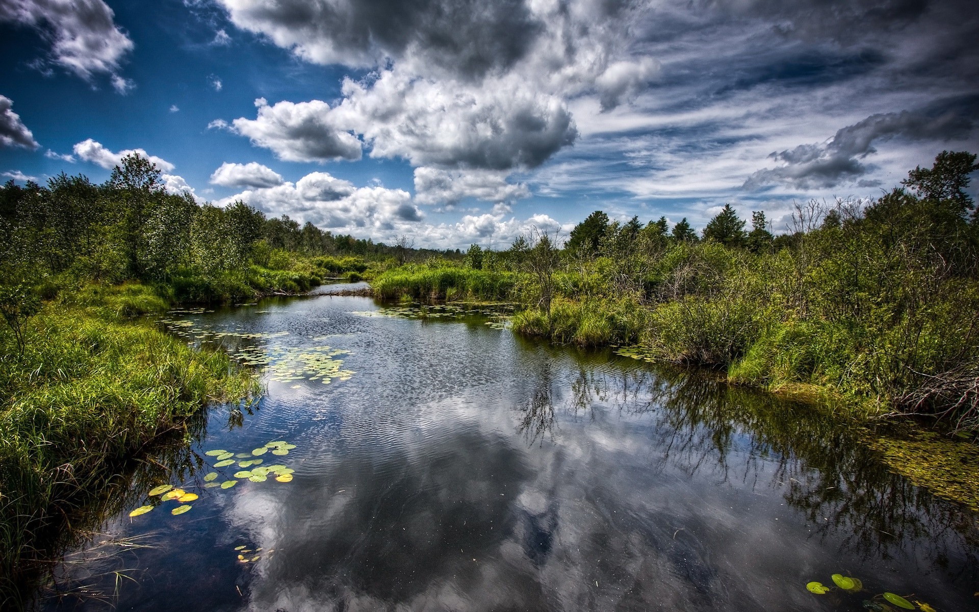 Обои облака, деревья, вода, болото, clouds, trees, water, swamp разрешение 1920x1200 Загрузить