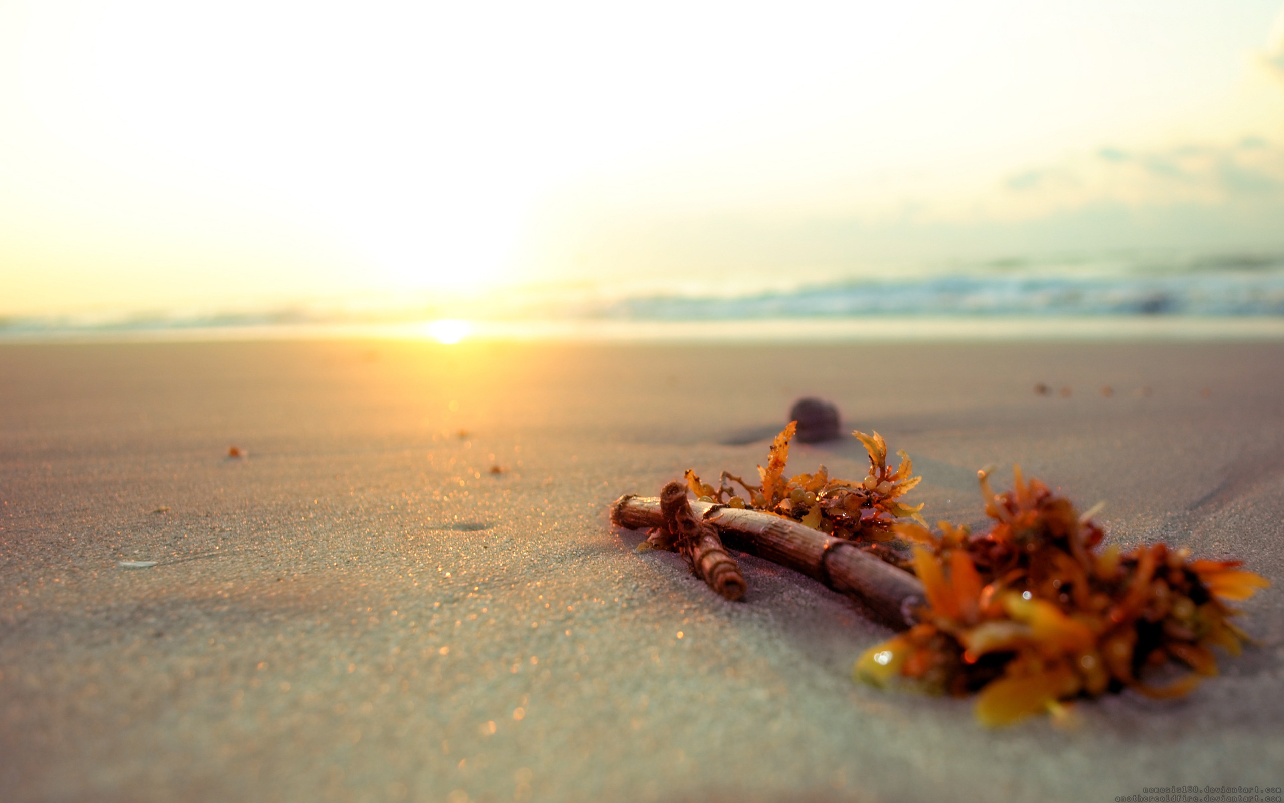 любовь лист блеск берег песок загрузить