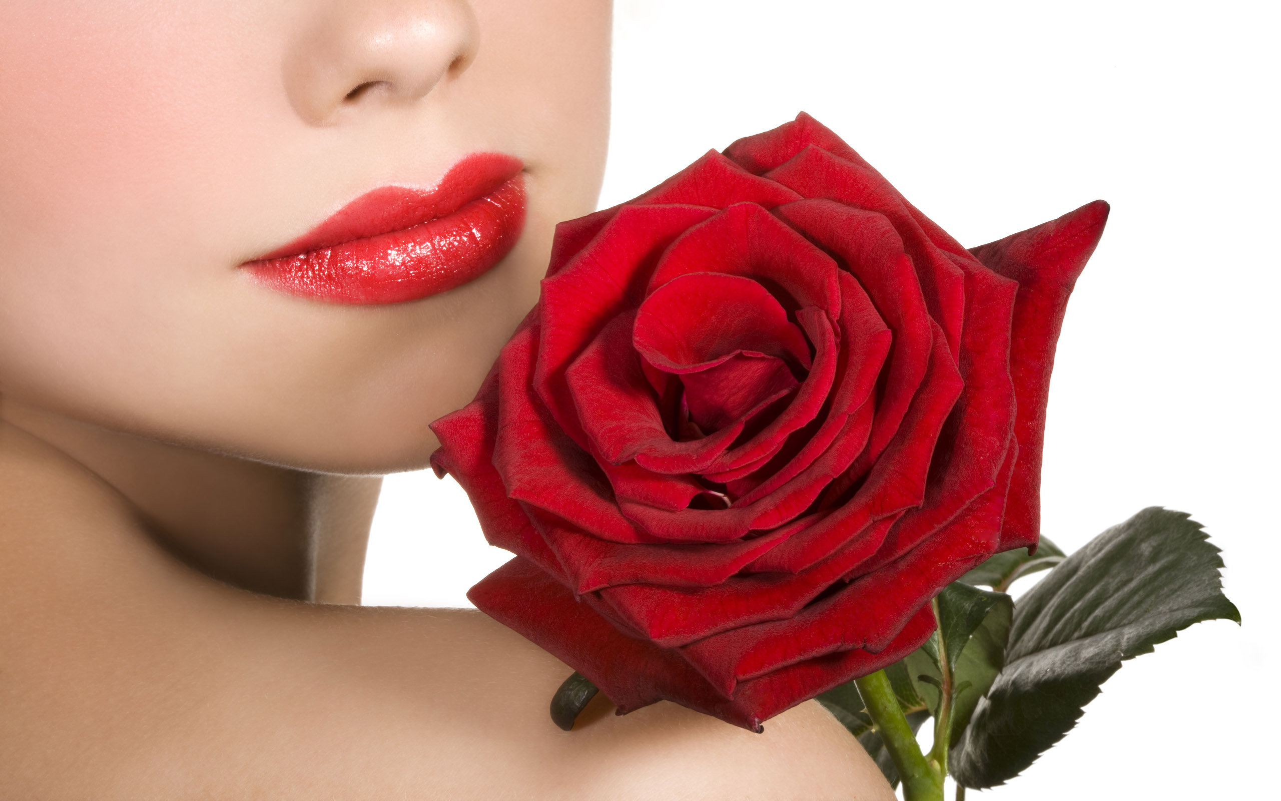 Обои девушка, роза, красная, губы, плечо, помада, girl, rose, red, lips, shoulder, lipstick разрешение 2560x1600 Загрузить