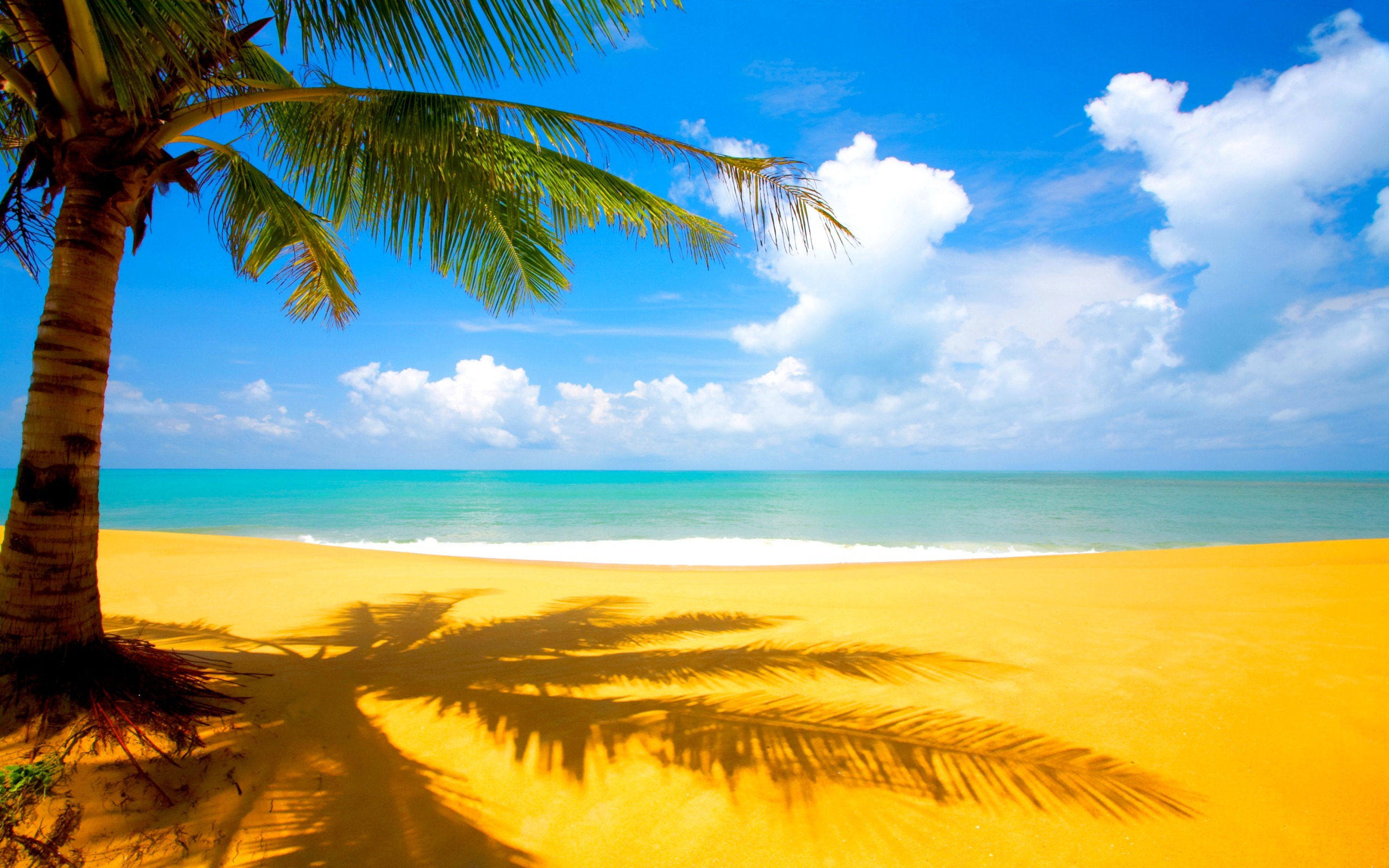 Обои облака, море, песок, пляж, пальма, тропики, clouds, sea, sand, beach, palma, tropics разрешение 2560x1600 Загрузить